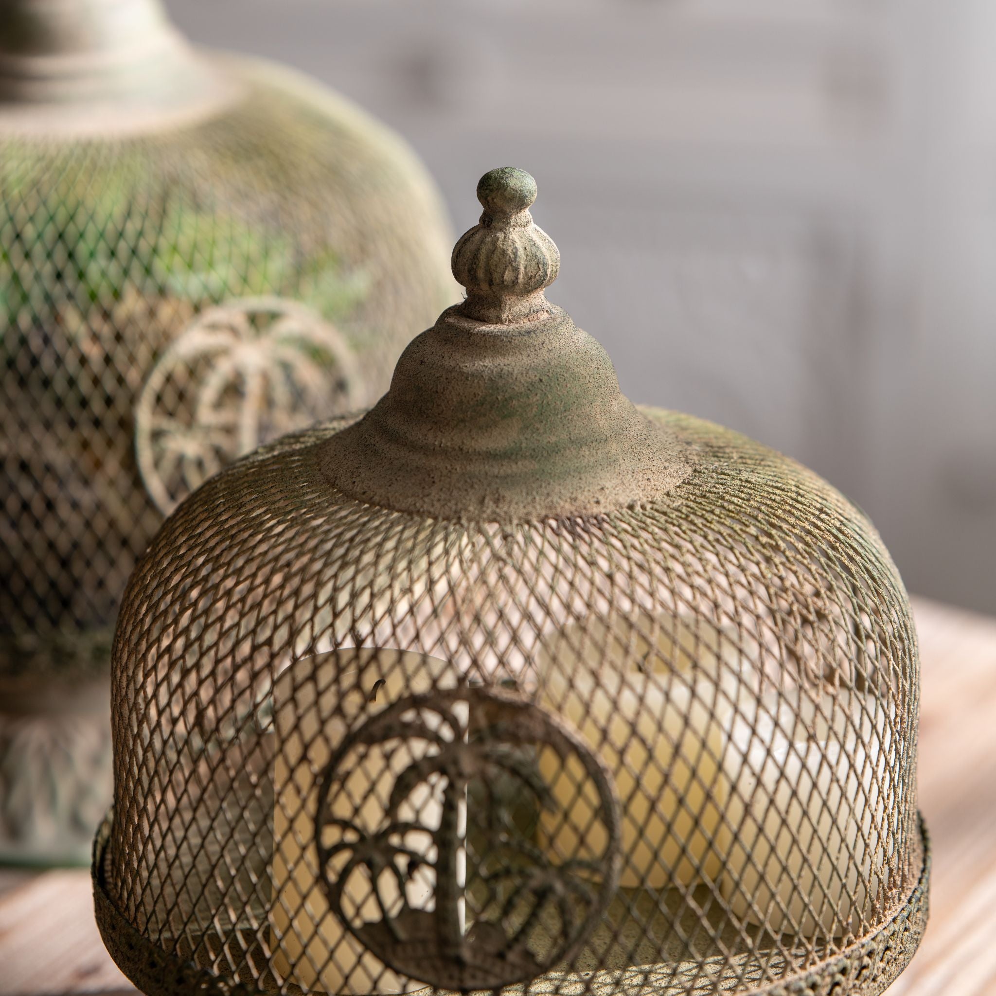 Primo cloche styled on a timber table beside the smaller Ramona cloche with candlelight