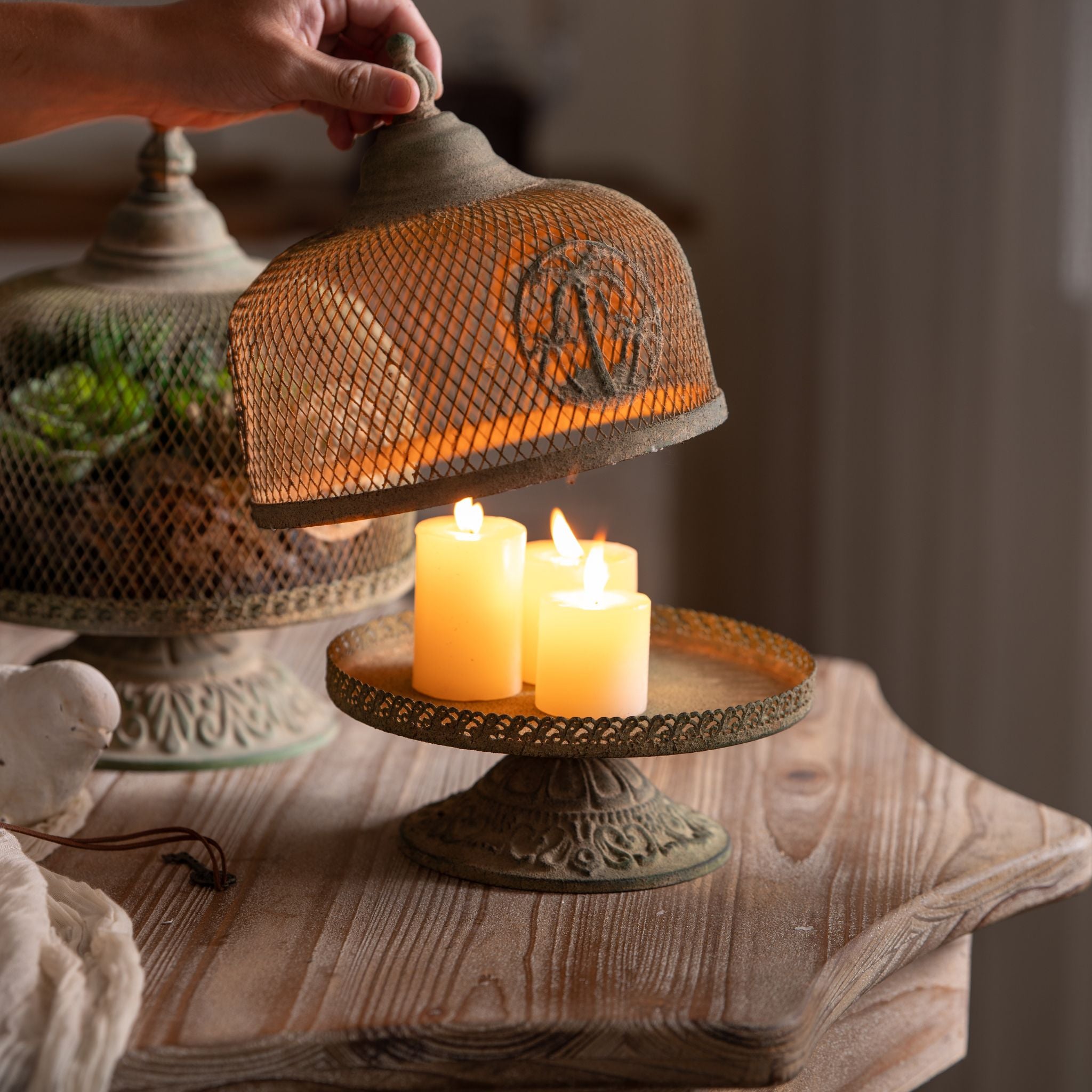 Close view of the palm medallion and mesh dome on the Ramona cloche