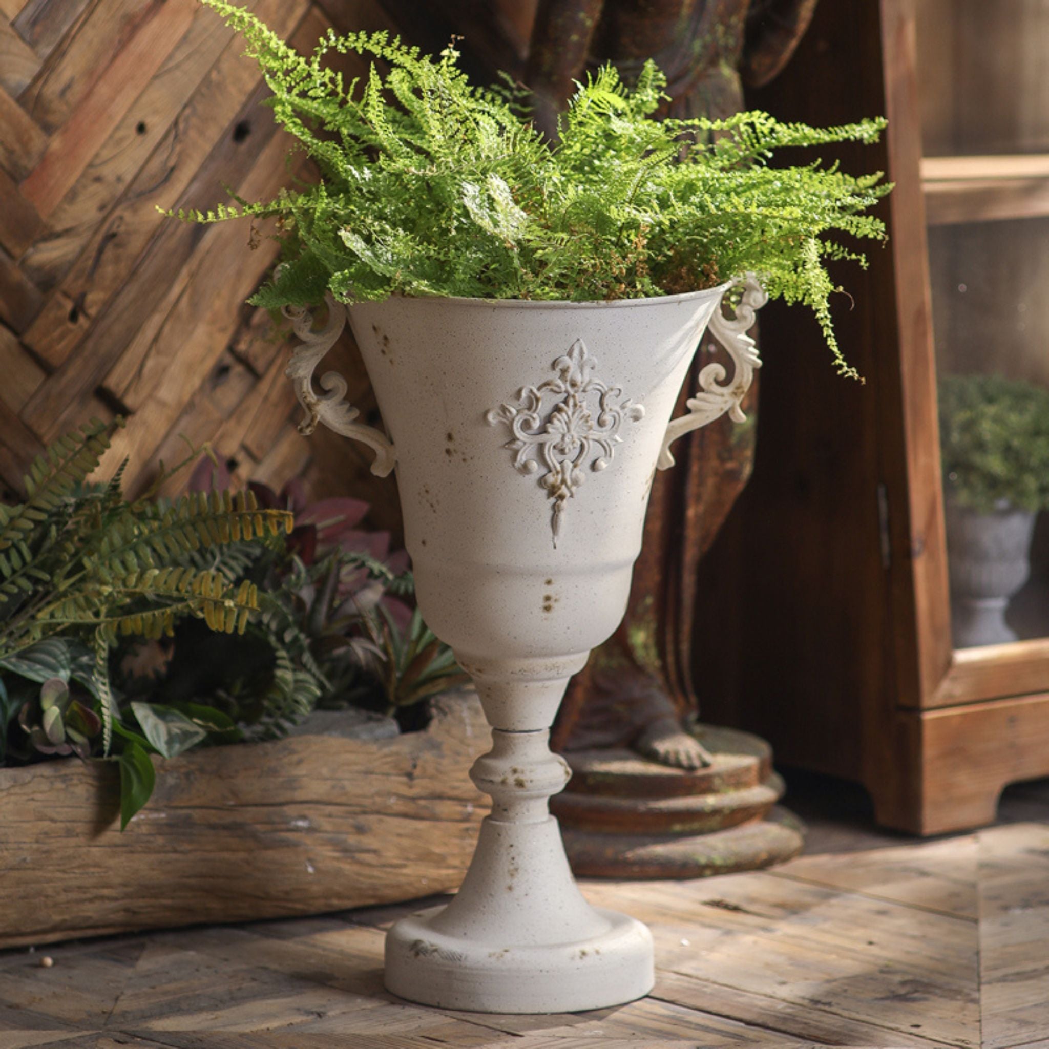 Gino footed urn planter in aged white iron with scroll handles holding a fern