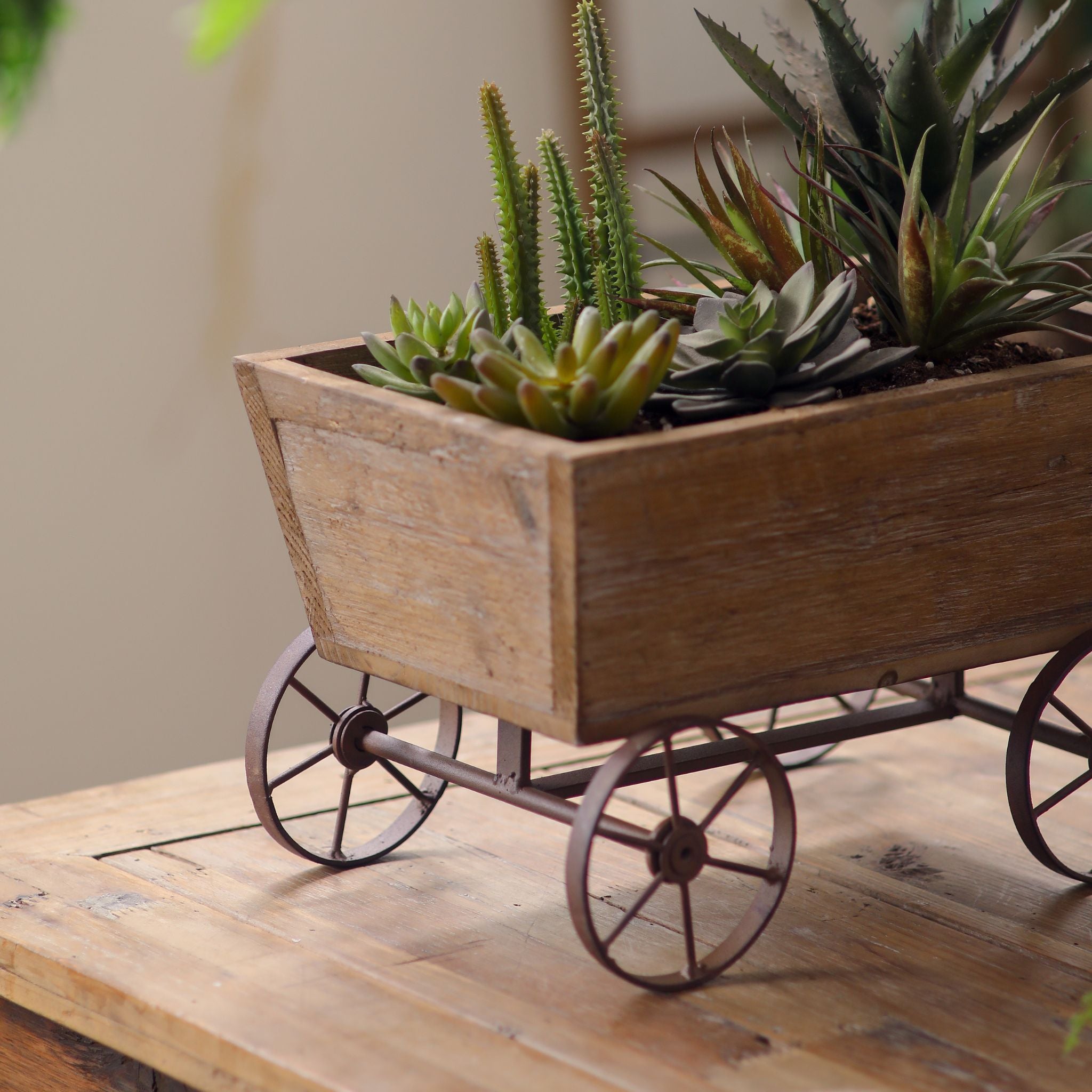 Paloma farm cart planter filled with succulents in a garden room