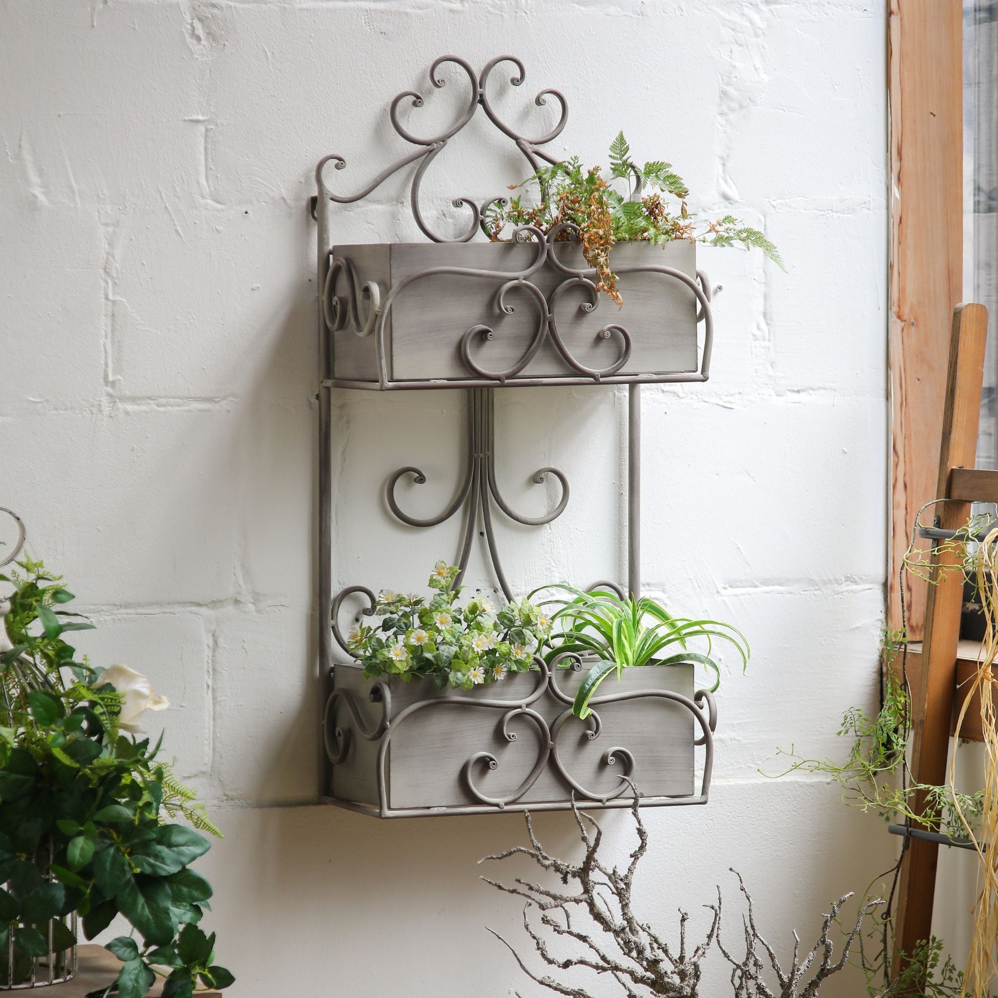 Avignon two tier wall planter in scrolled grey iron with ferns and flowers on a white wall
