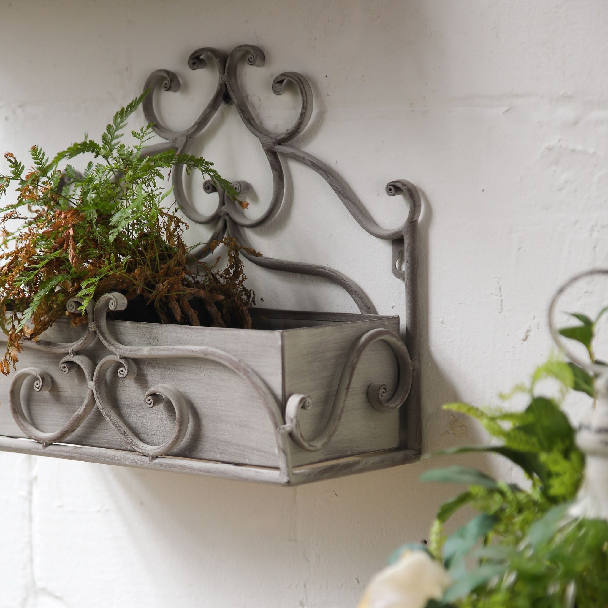 Close view of the curled crest and empty trough box of the smaller Bianca planter