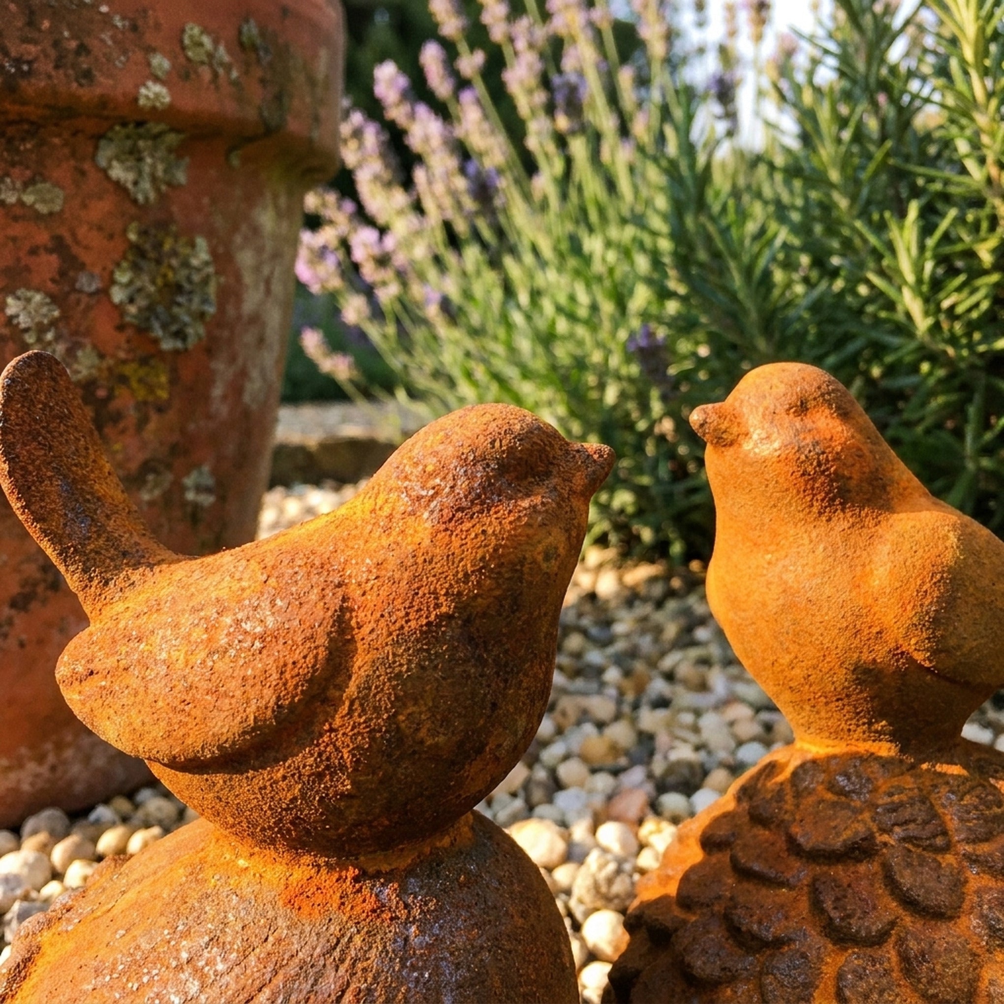 Robin and Sparrow close view of the birds and the rust patina