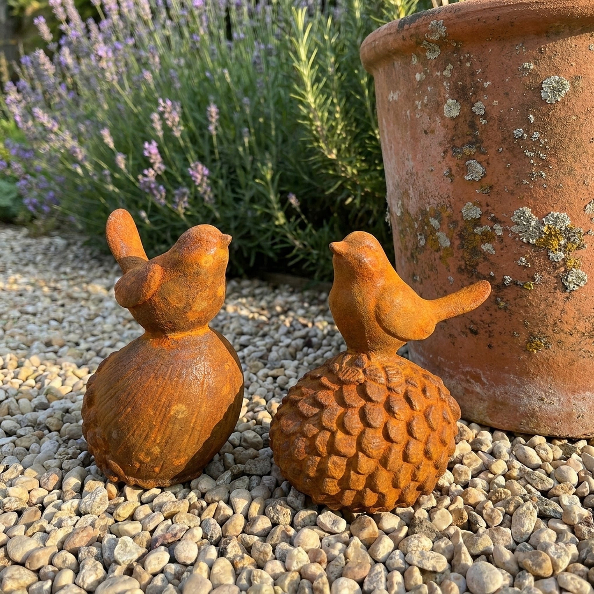 Robin and Sparrow on gravel with lavender behind, showing how small the pair reads in a border