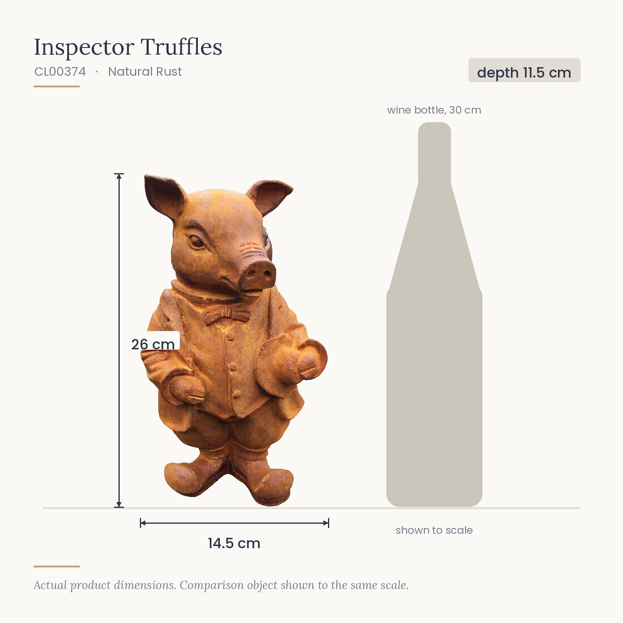 Size diagram for Inspector Truffles, 14.5 x 11.5 x 26 cm, shown to scale beside a 30 cm wine bottle