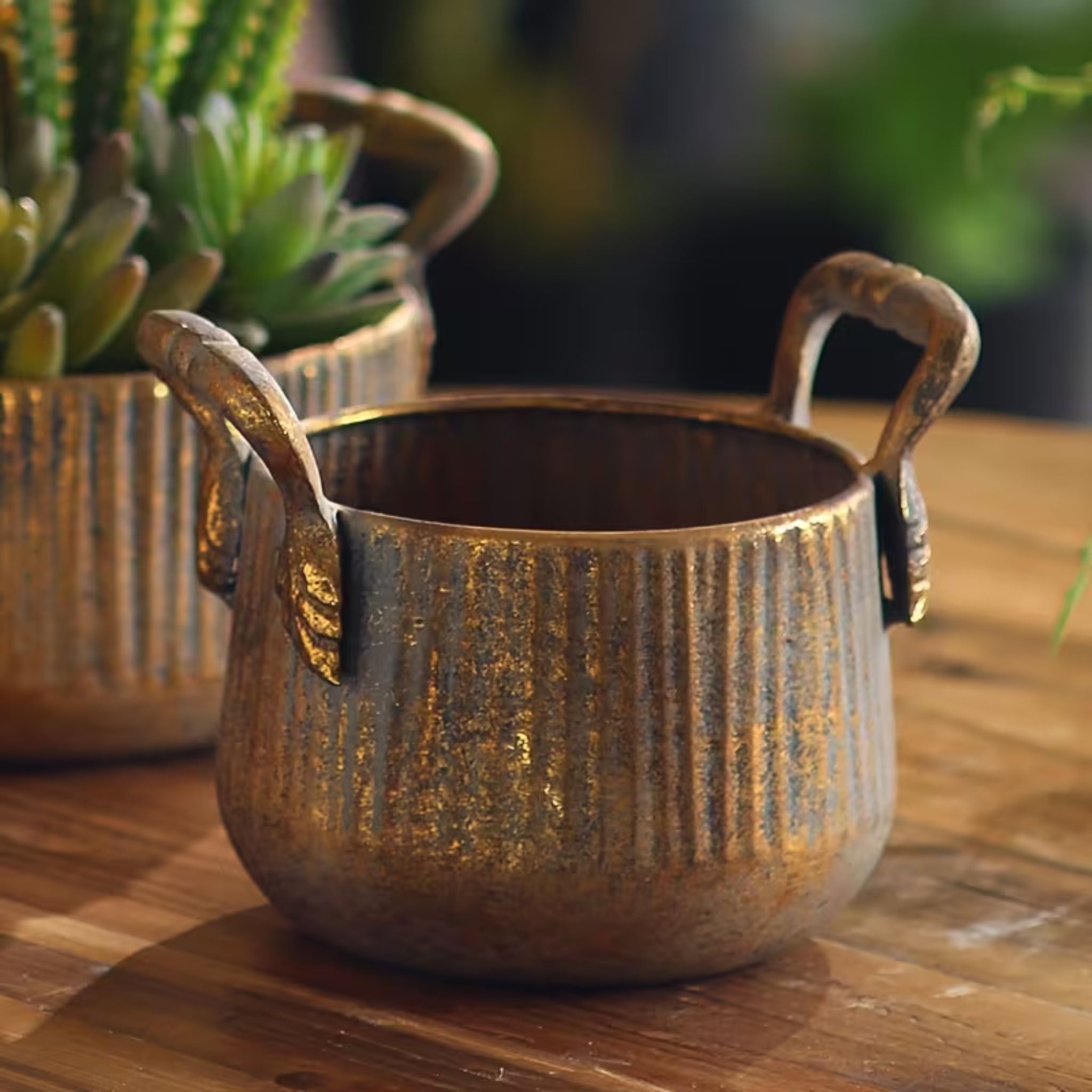 Milo small ribbed pot showing the upright handles and leaf mounts