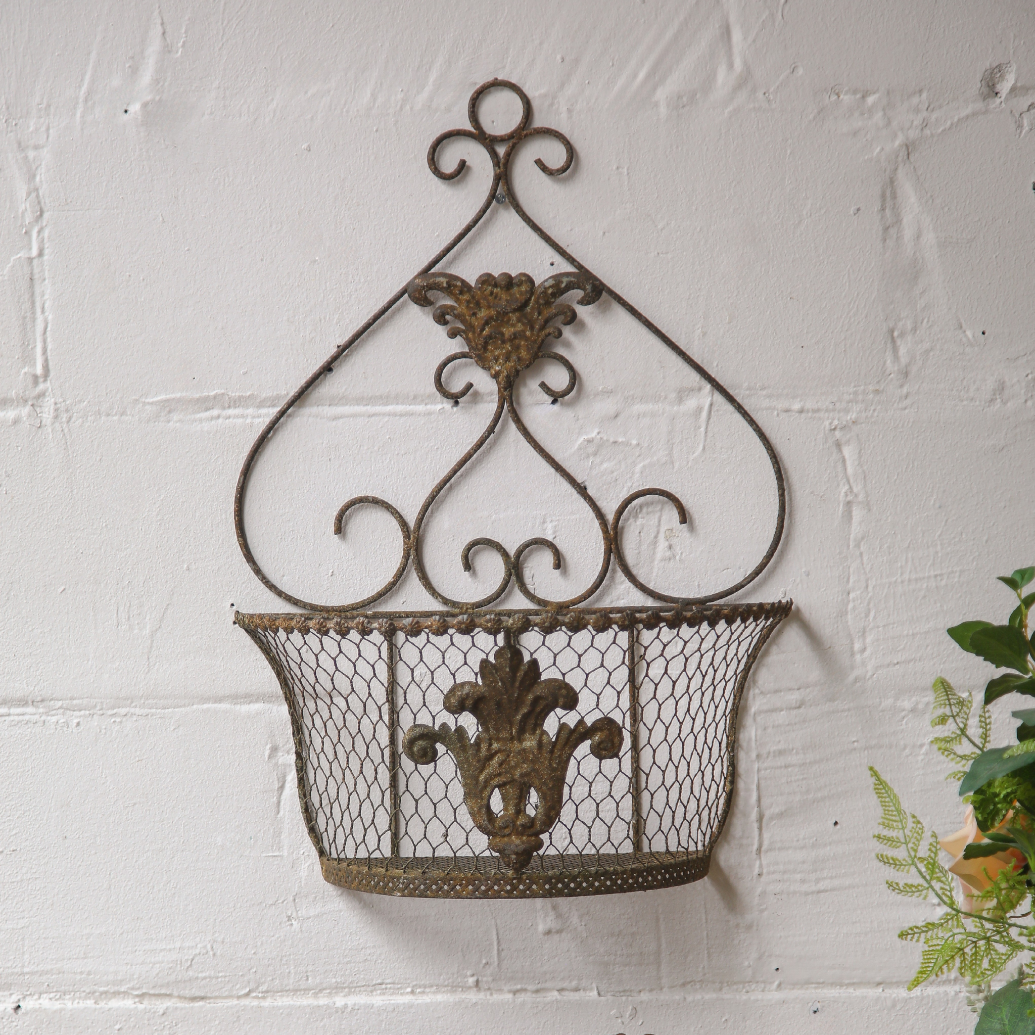 Carmen wire wall basket planter with scrolled heart crown on a white brick wall. Hero.