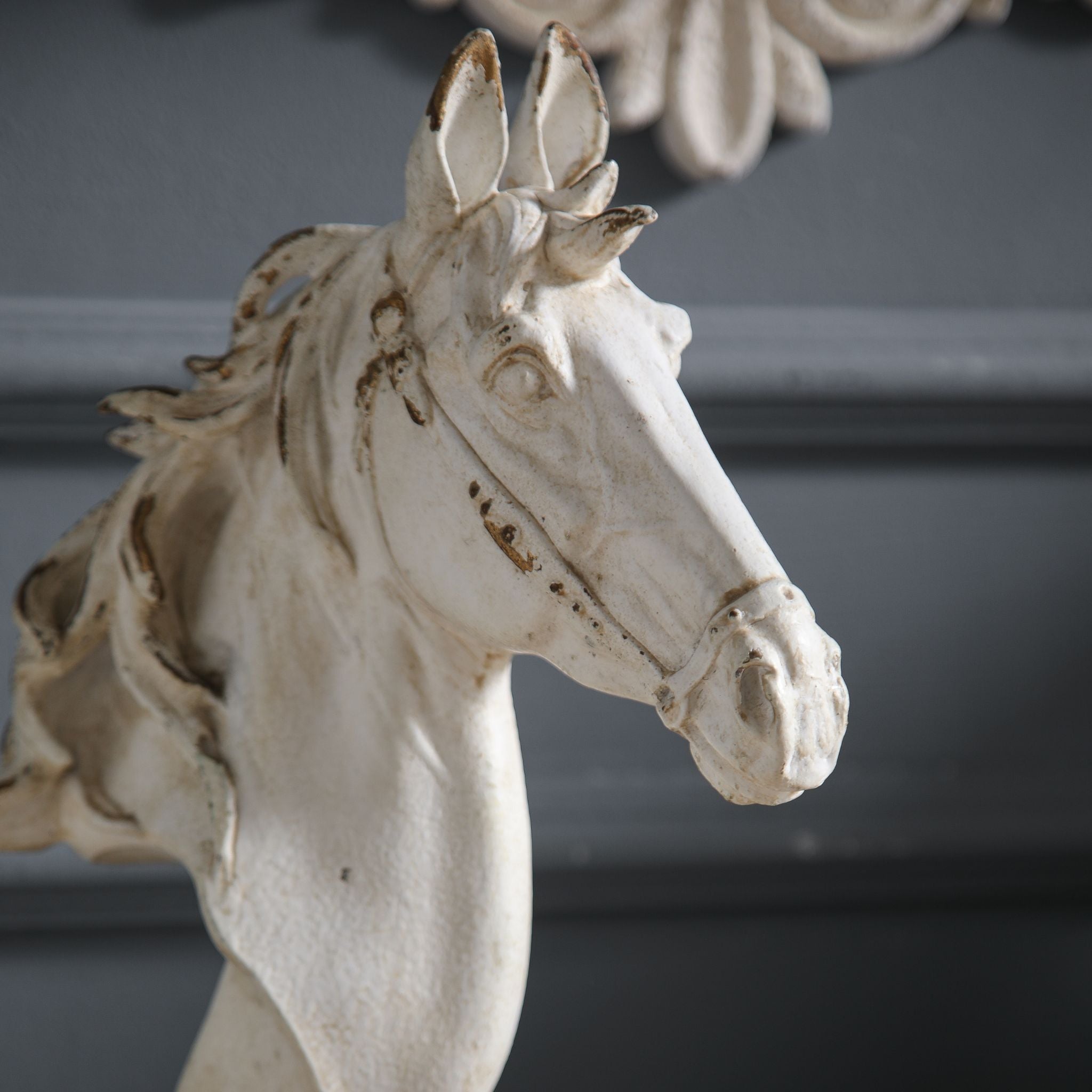 Portrait close-up of Apollon horse head bust showing the facial detail, bridle texture, and the soft worn whitewash finish across the muzzle and forehead
