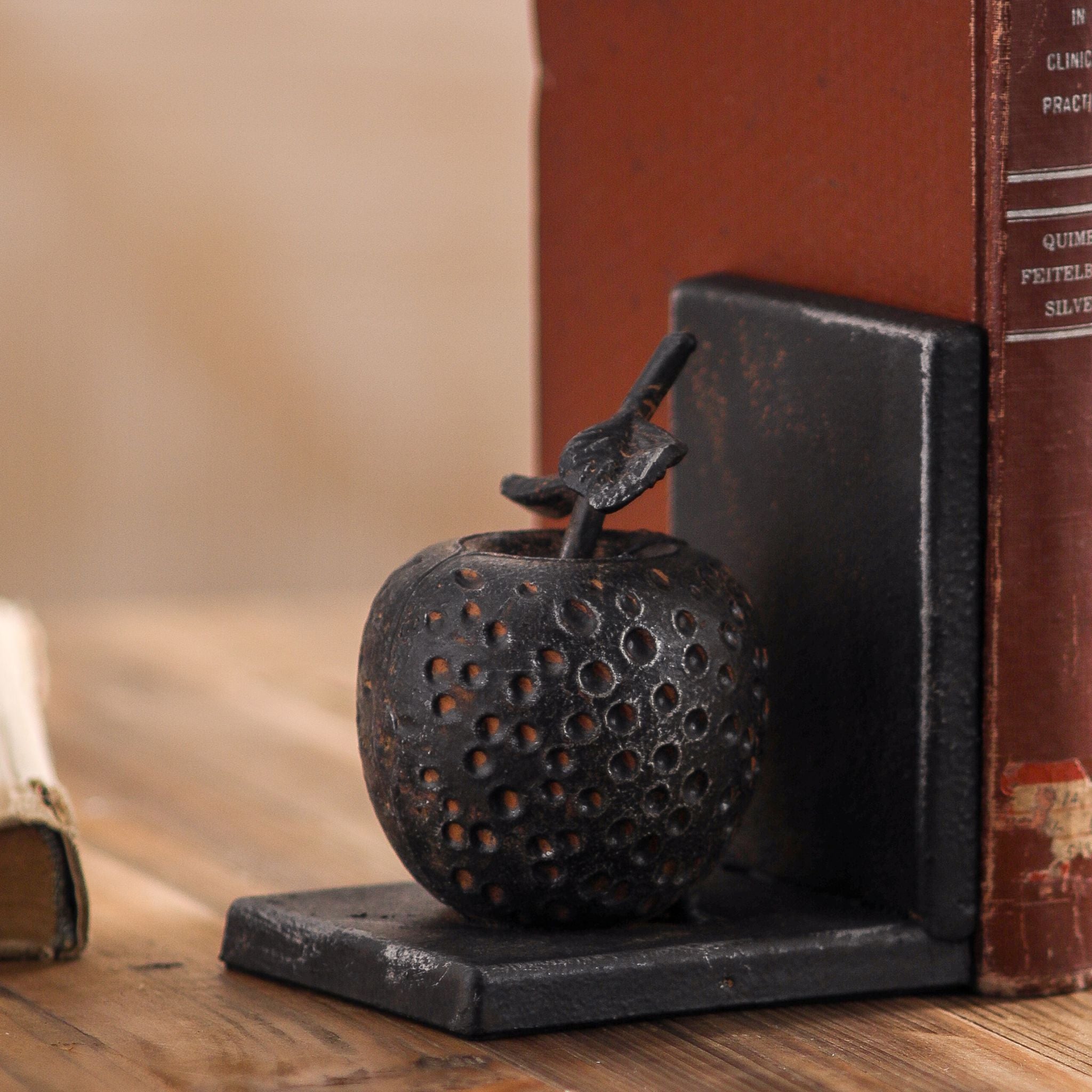 Close-up of the cast iron apple bookend with stem and leaf, holding a worn vintage book.