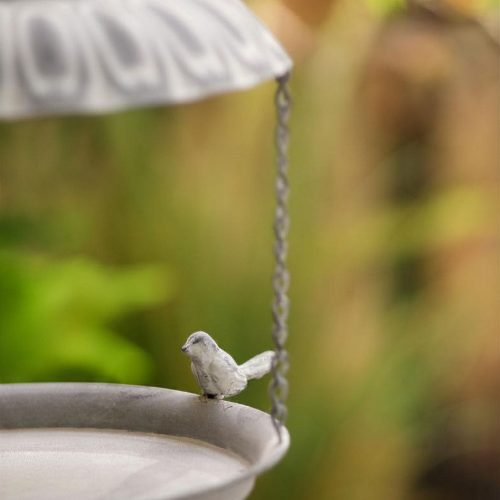 Close-up of a little cast bird perched on the seed tray rim of the Dannielle feeder.