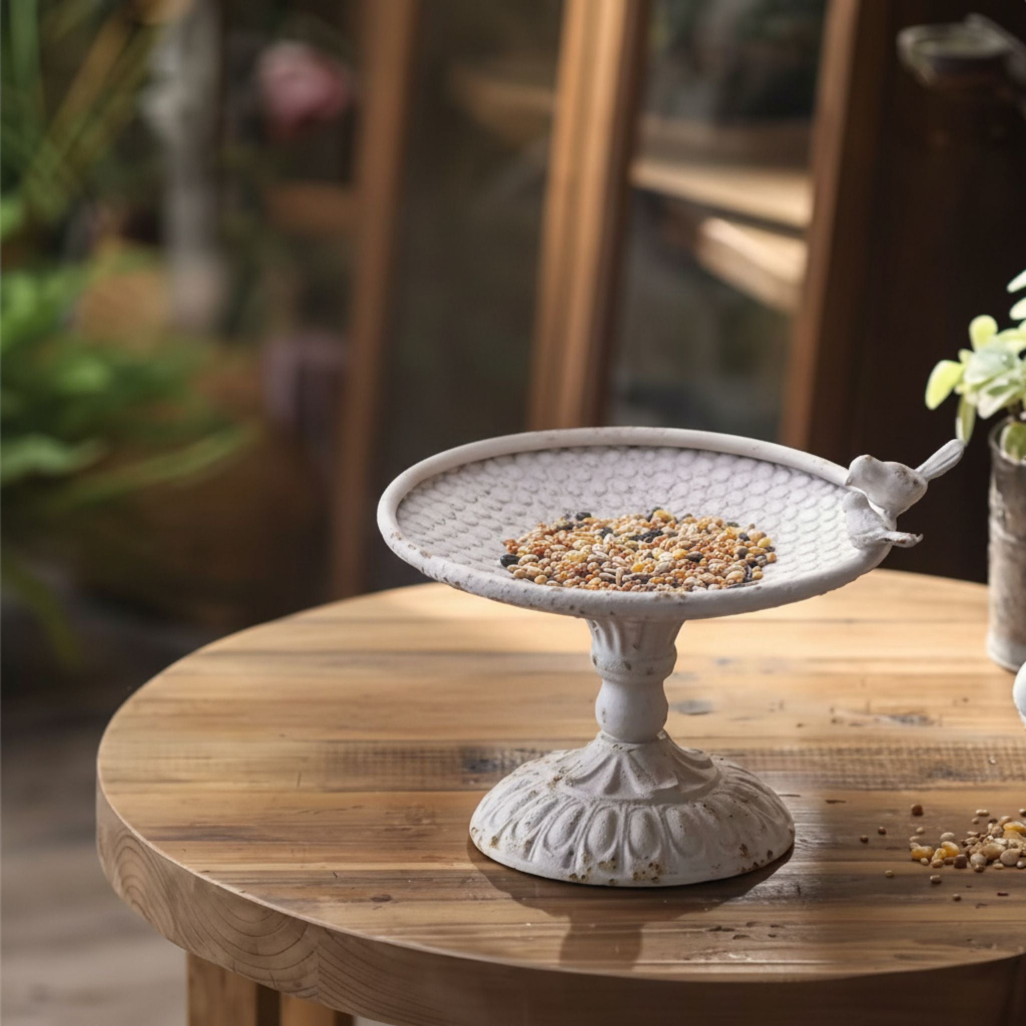 Gerard distressed white pedestal dish filled with seed on a wooden table in a greenhouse.