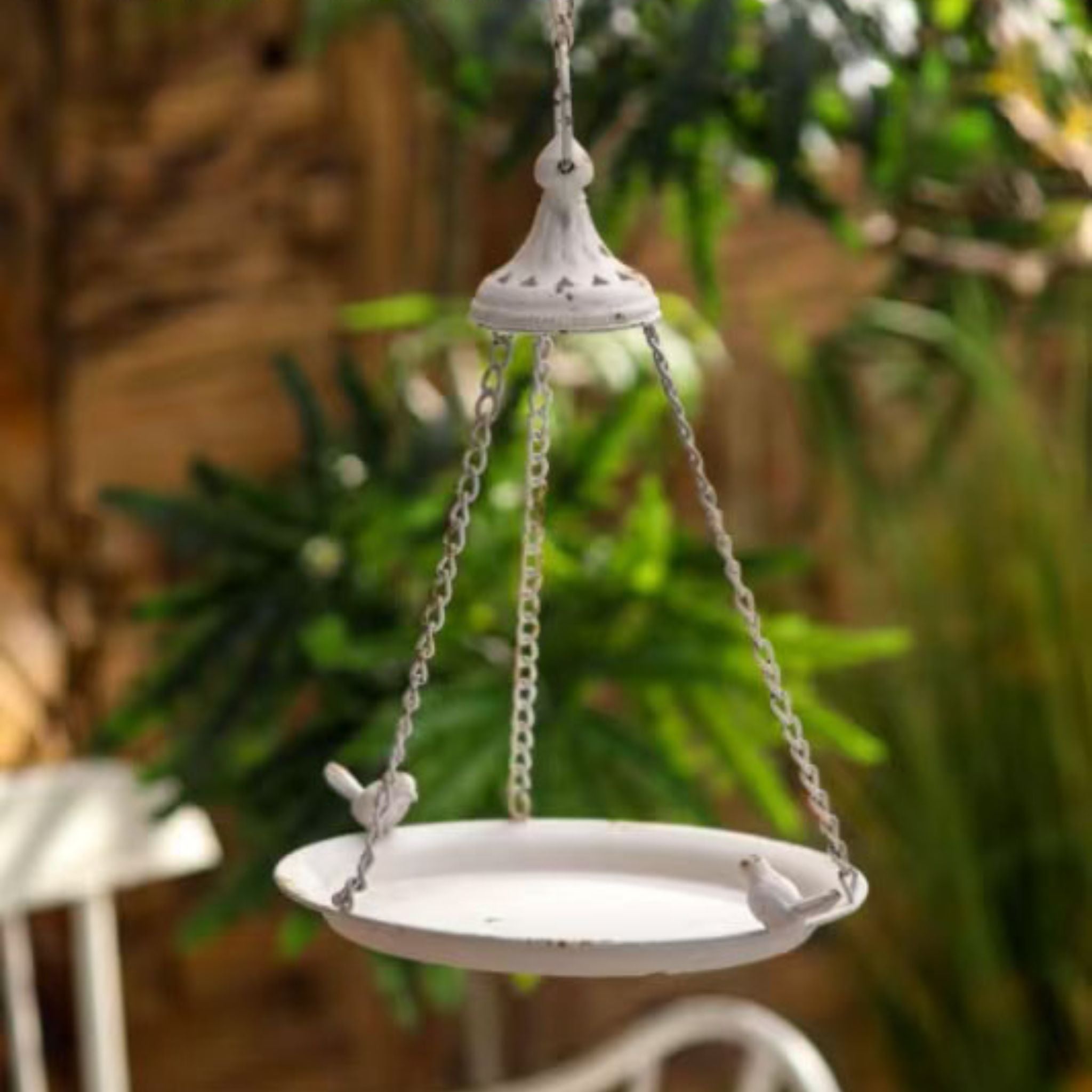 Fleur hanging bird feeder hung outdoors against greenery, open tray with perched birds.