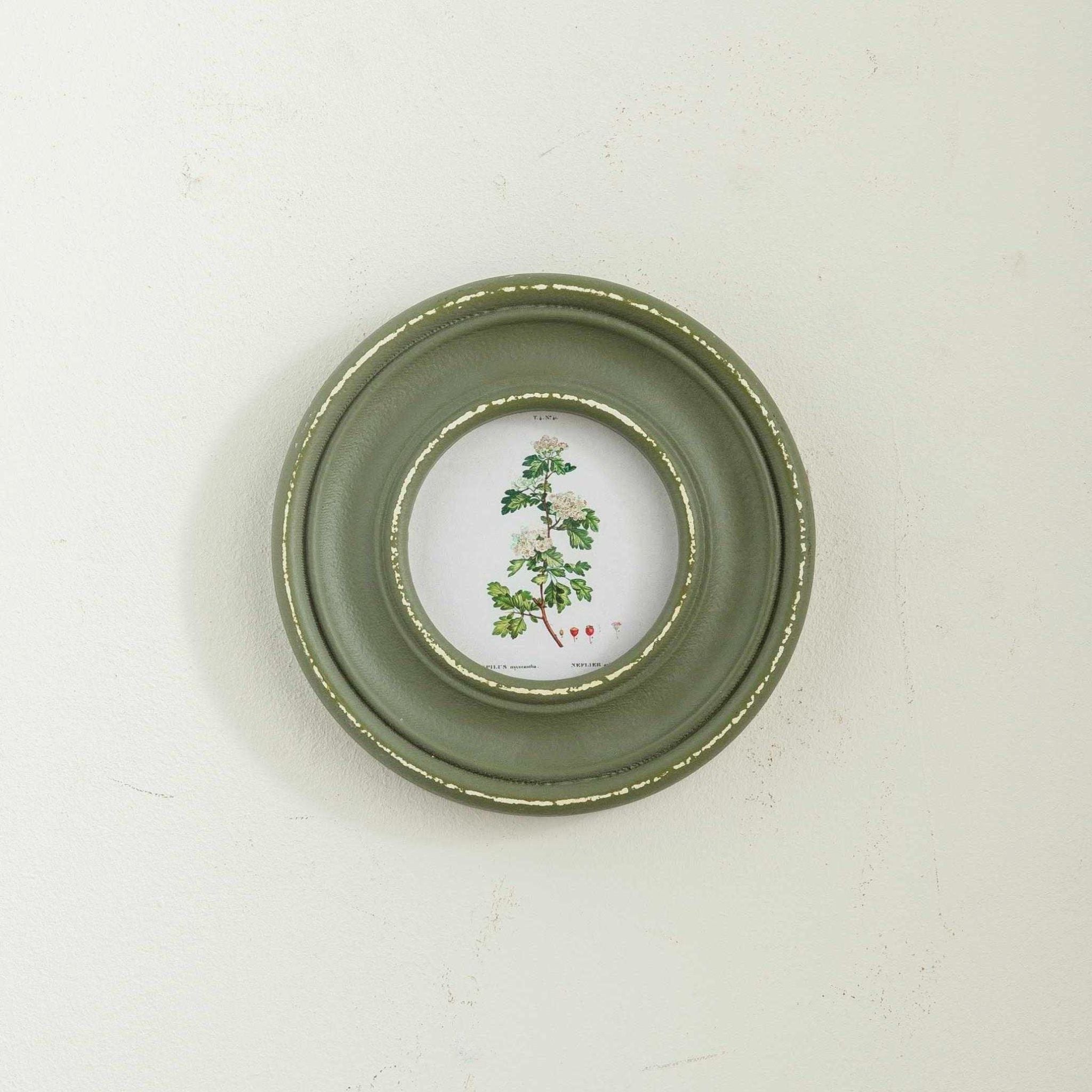Single round Hélène frame in distressed green with a hawthorn botanical print.