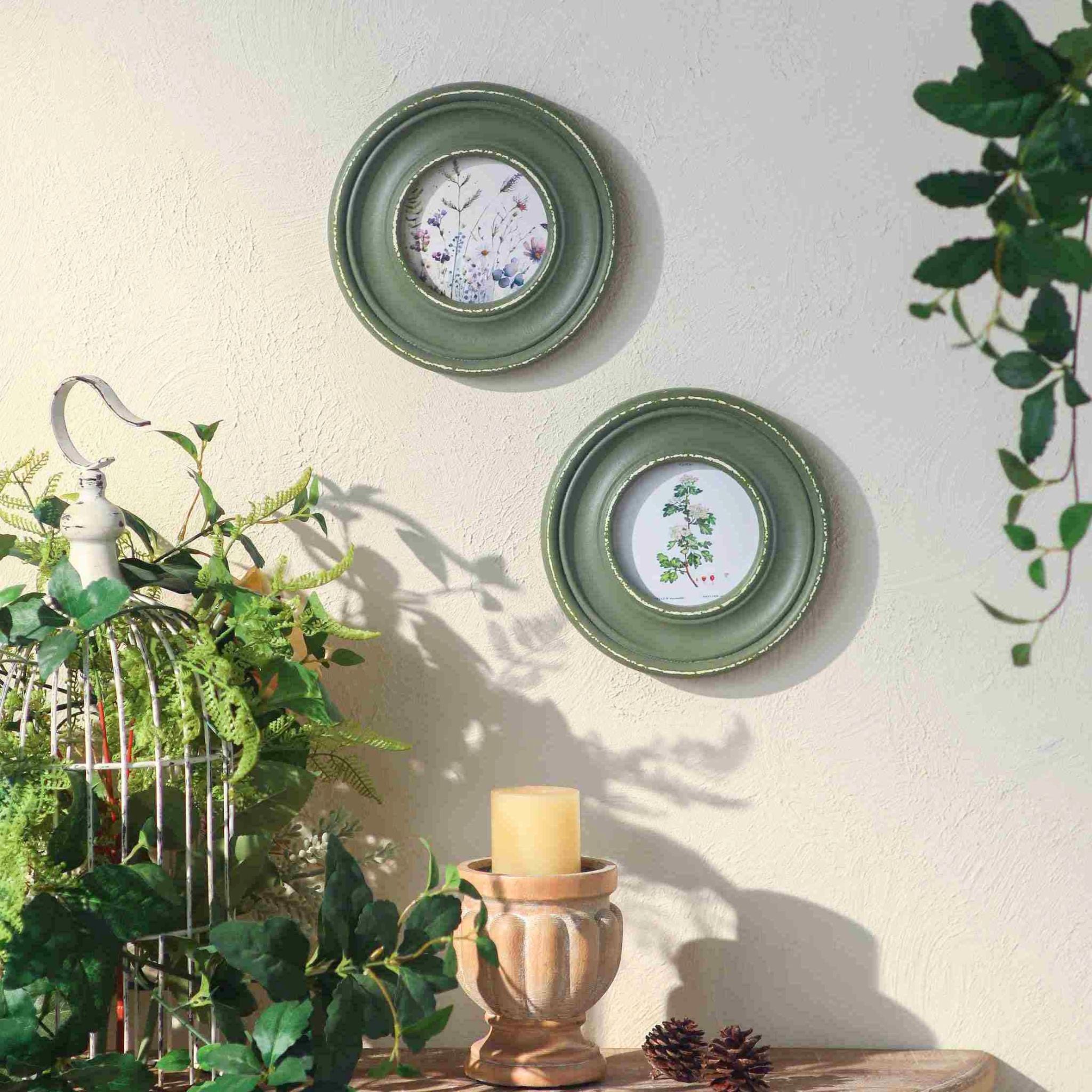 Two Hélène round botanical frames hung together in sunlight.