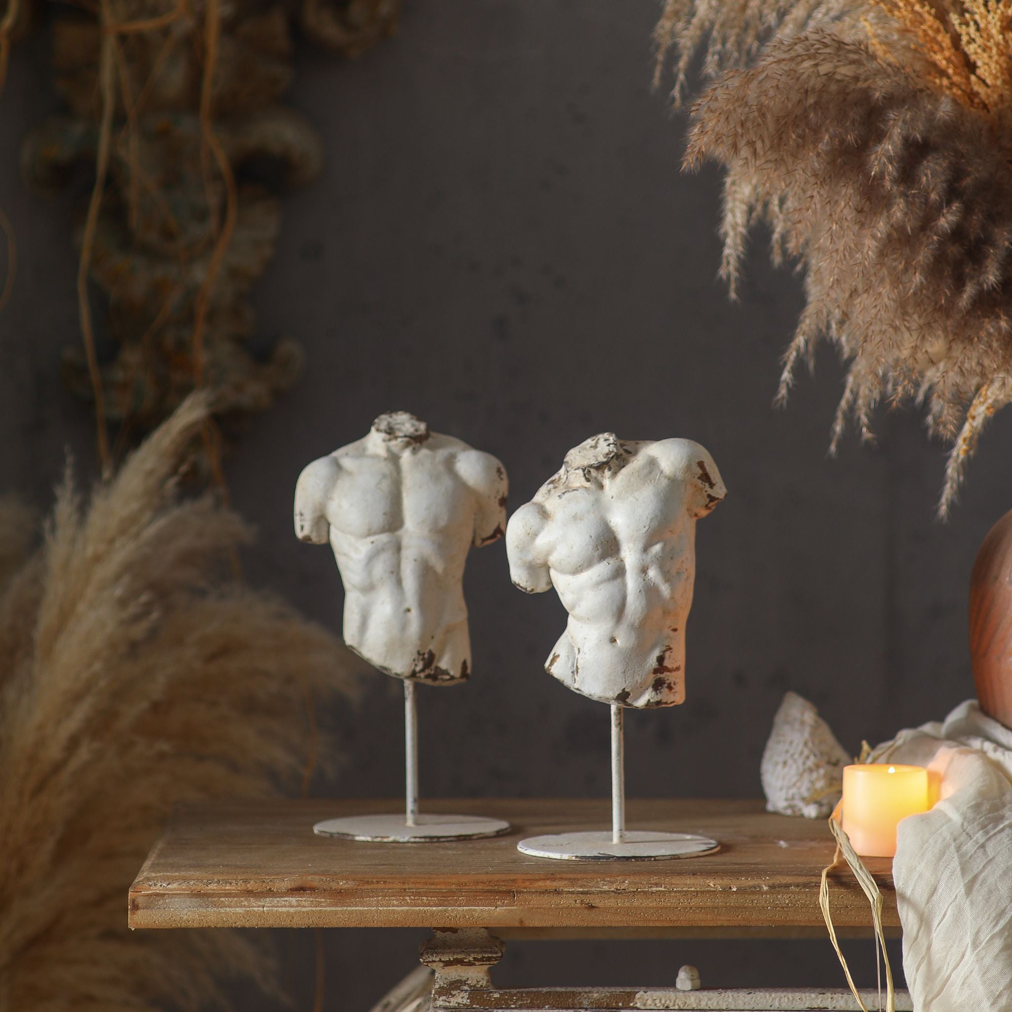 Adonis and Cassius styled together with pampas on a timber console