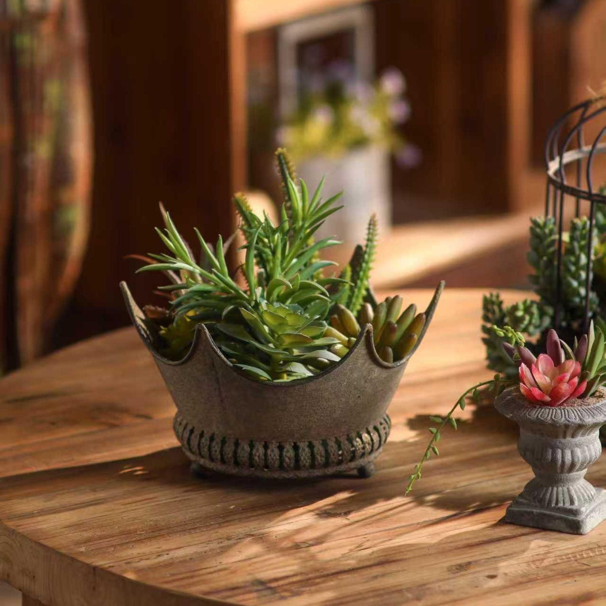 Marlene crown planter planted with succulents in a warm, sunlit styled setting