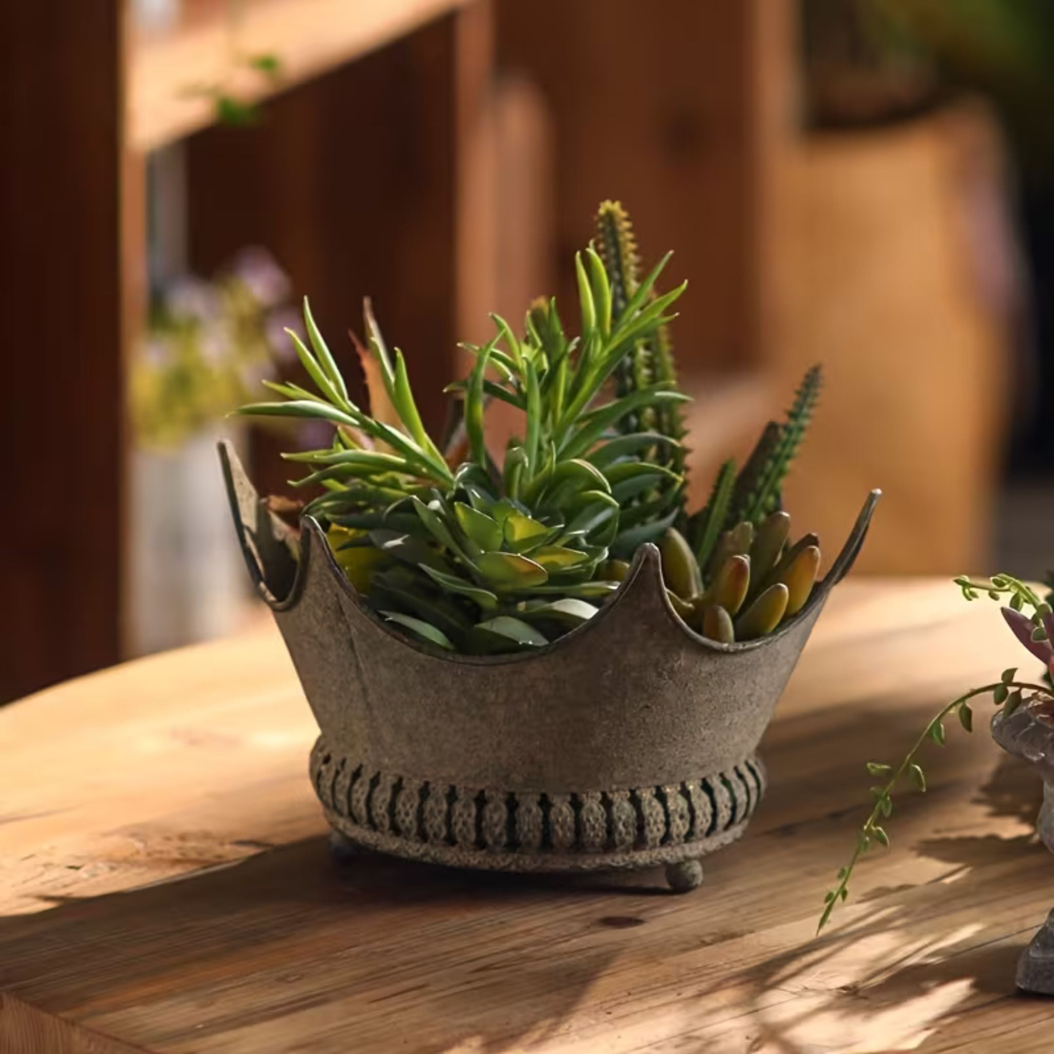 Marlene crown planter filled with a mixed succulent arrangement on a timber table