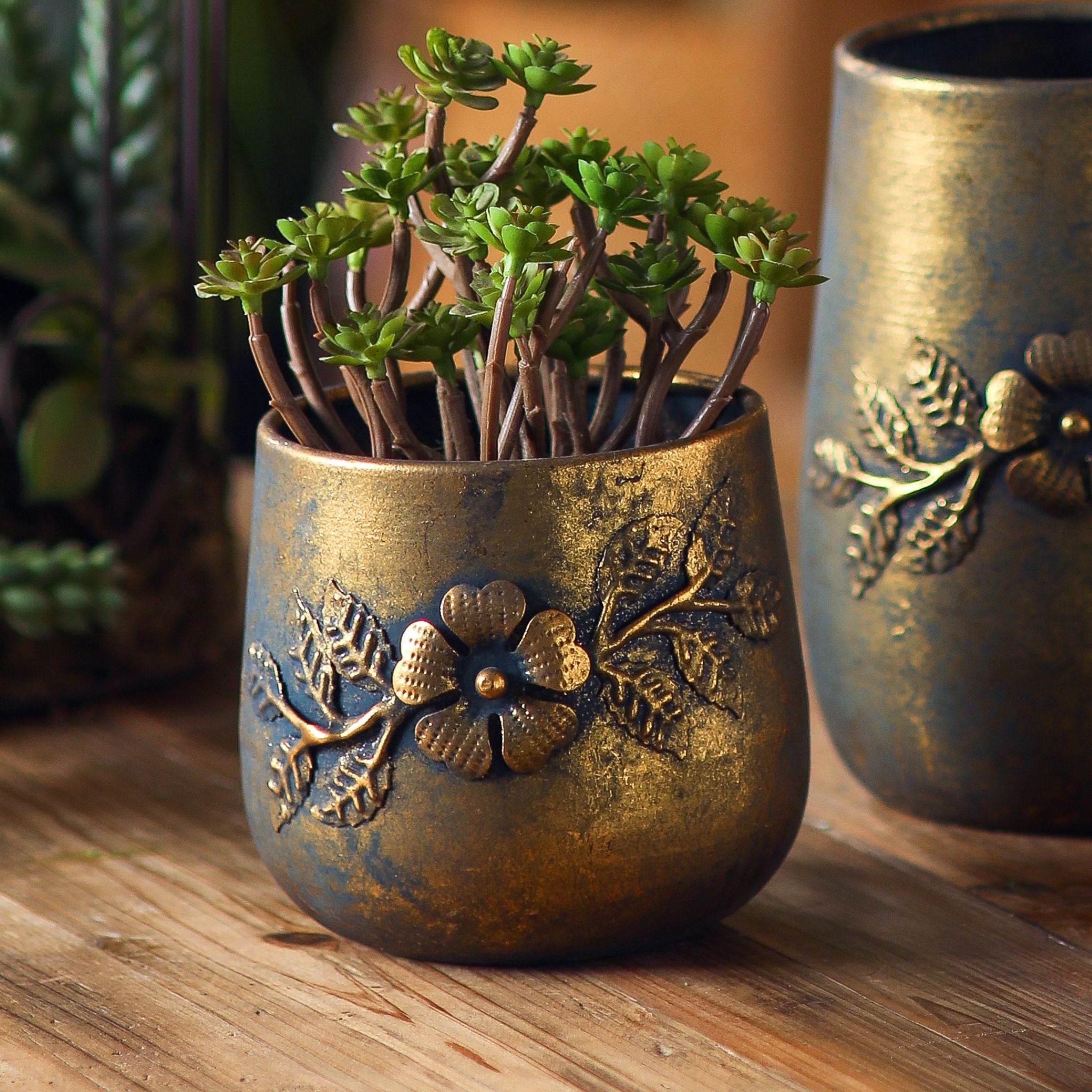 Normandy pots close up, the rounded pot planted and the taller pot behind.