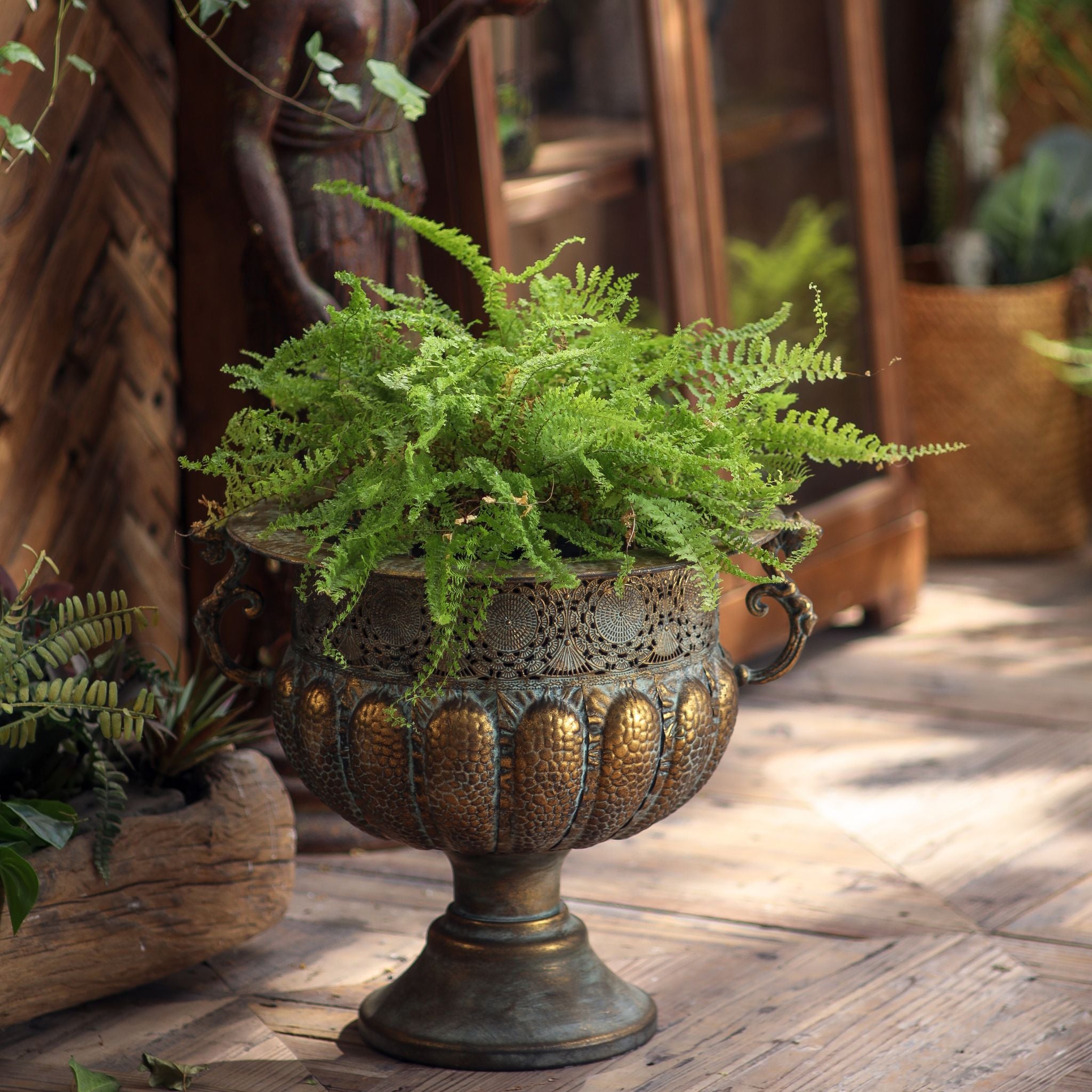 Regis urn planter planted with a fern in a garden setting