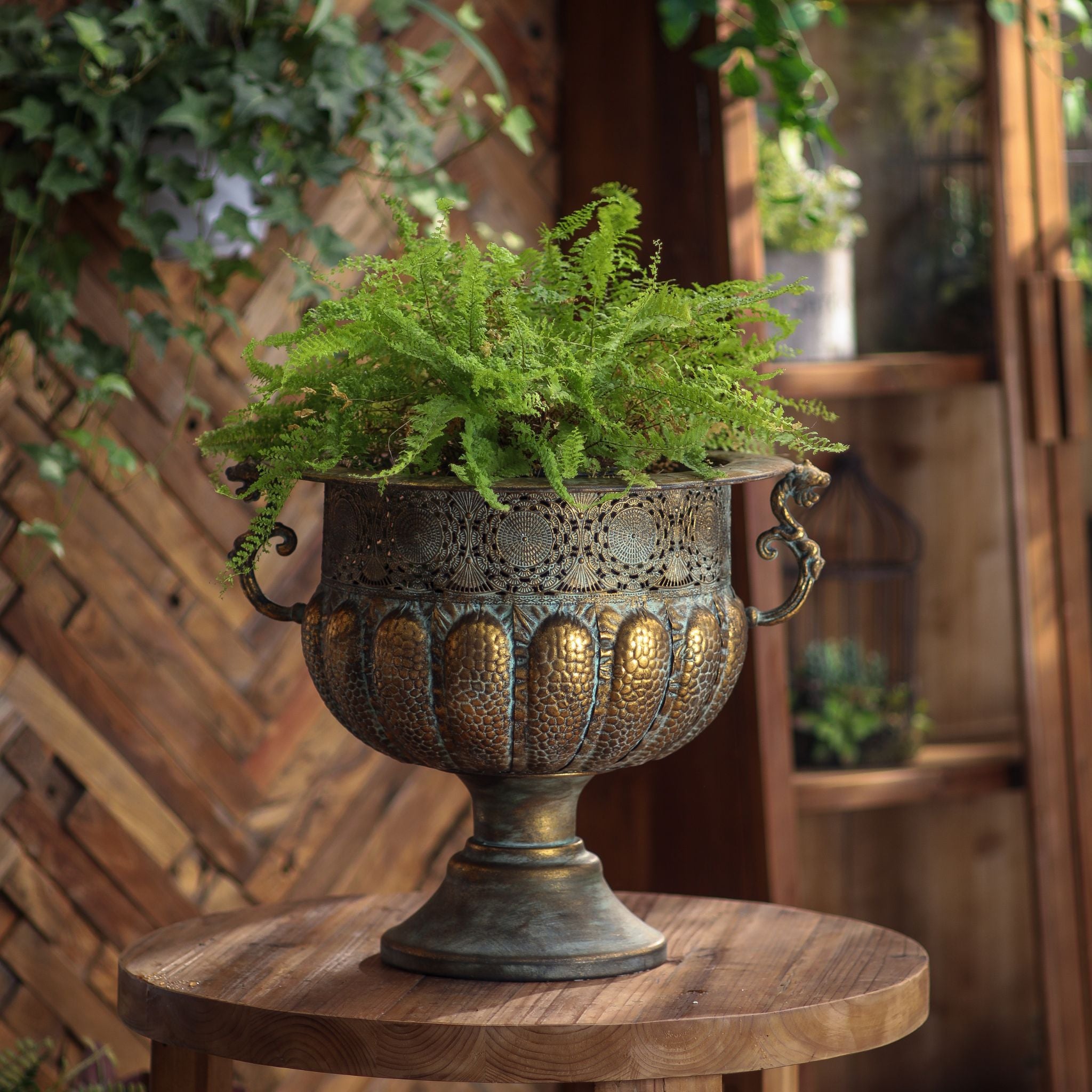 Regis urn planter with a fern on a round table outdoors