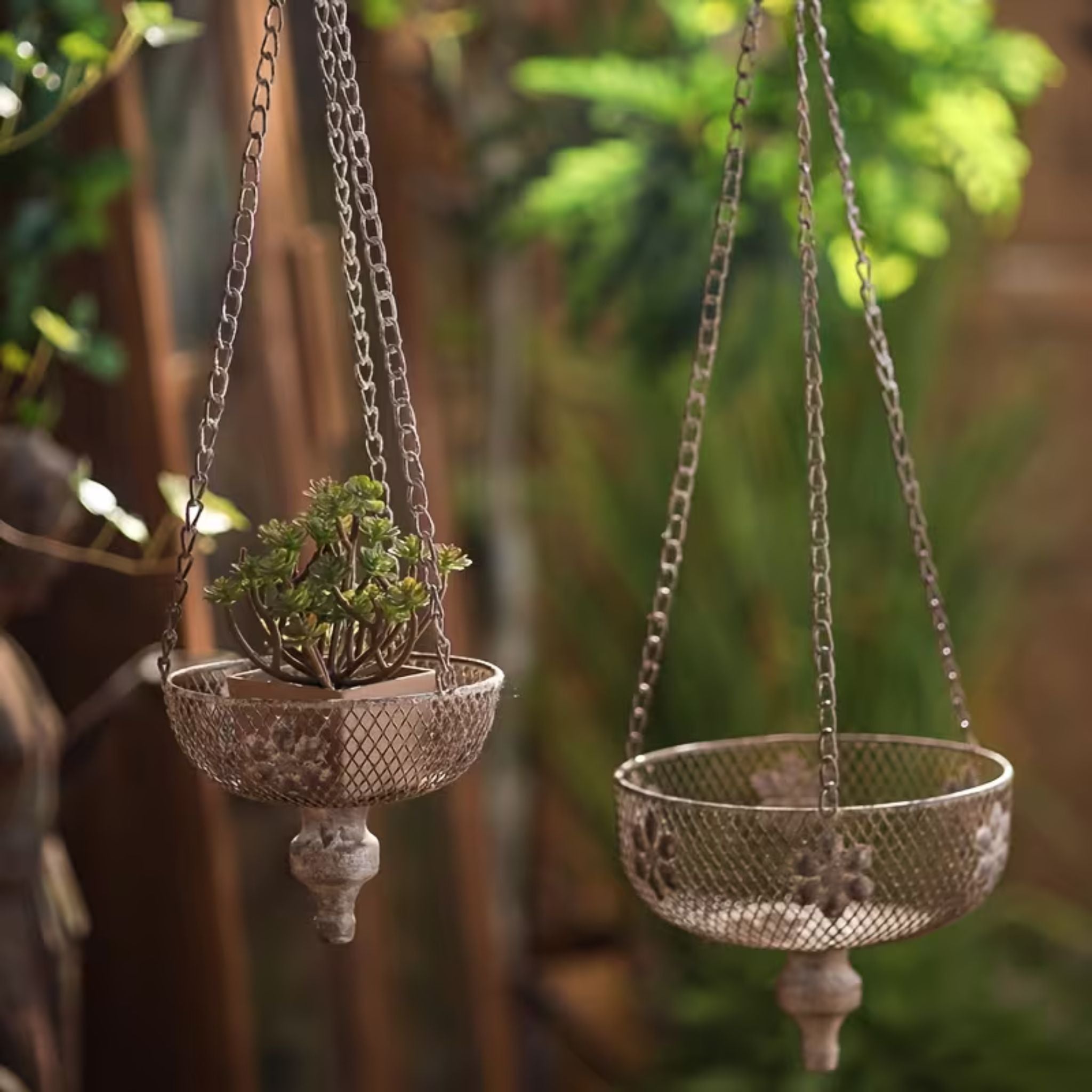 Toulouse pair of hanging planters at different heights in a garden.