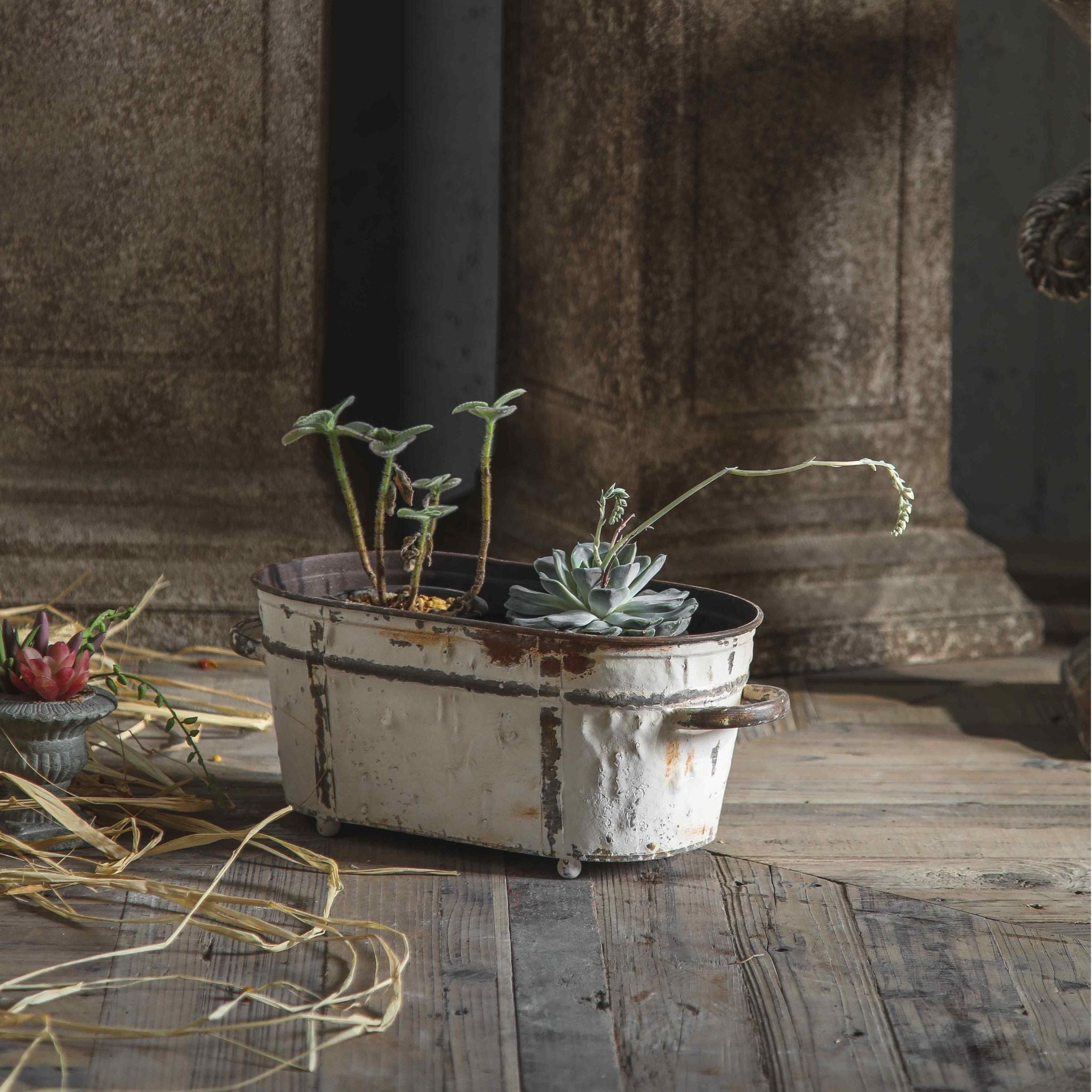 The smaller Lucie trough planted with succulents, showing the ball feet and handles