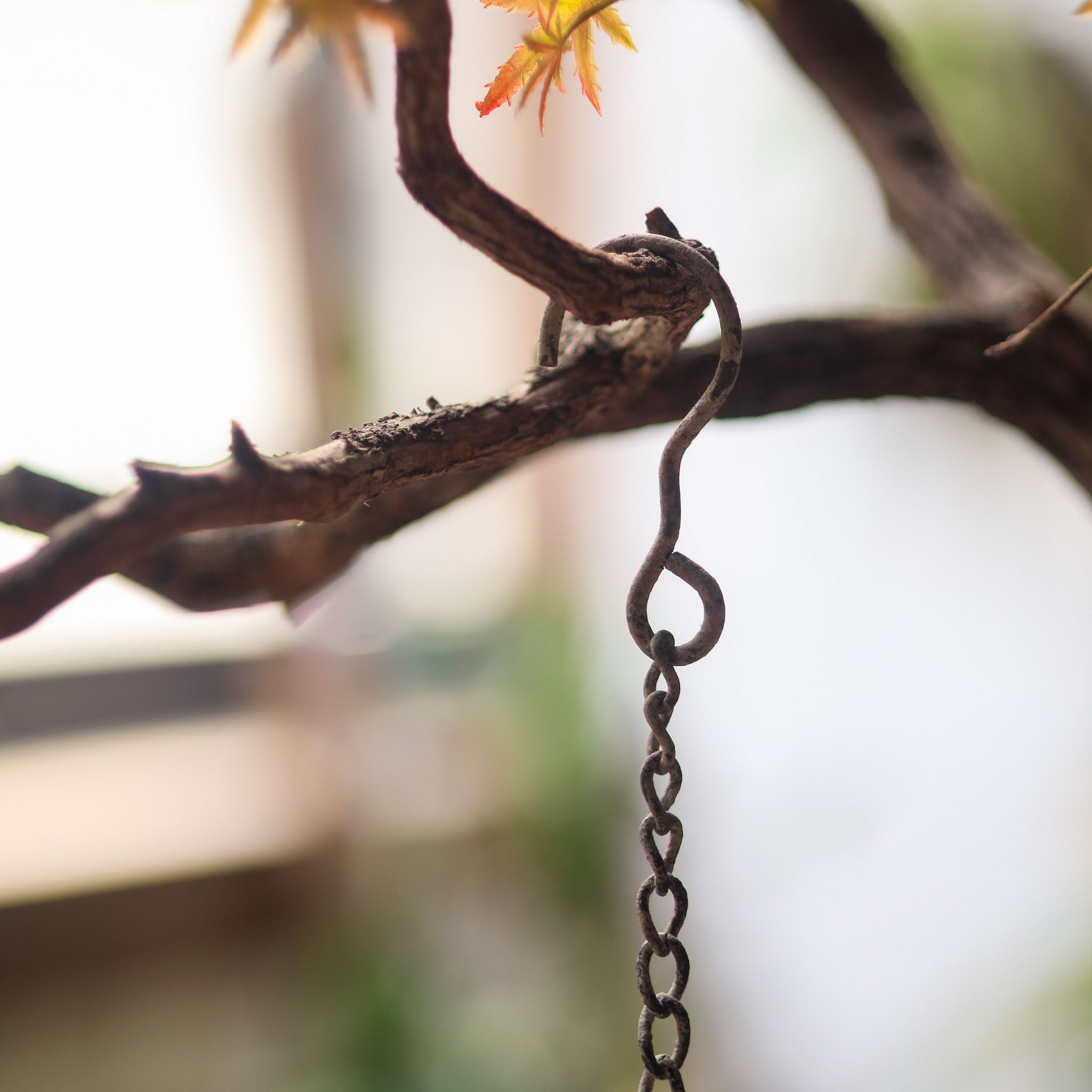Close-up of the hanging chain and hook of the Penelope feeder over a branch.