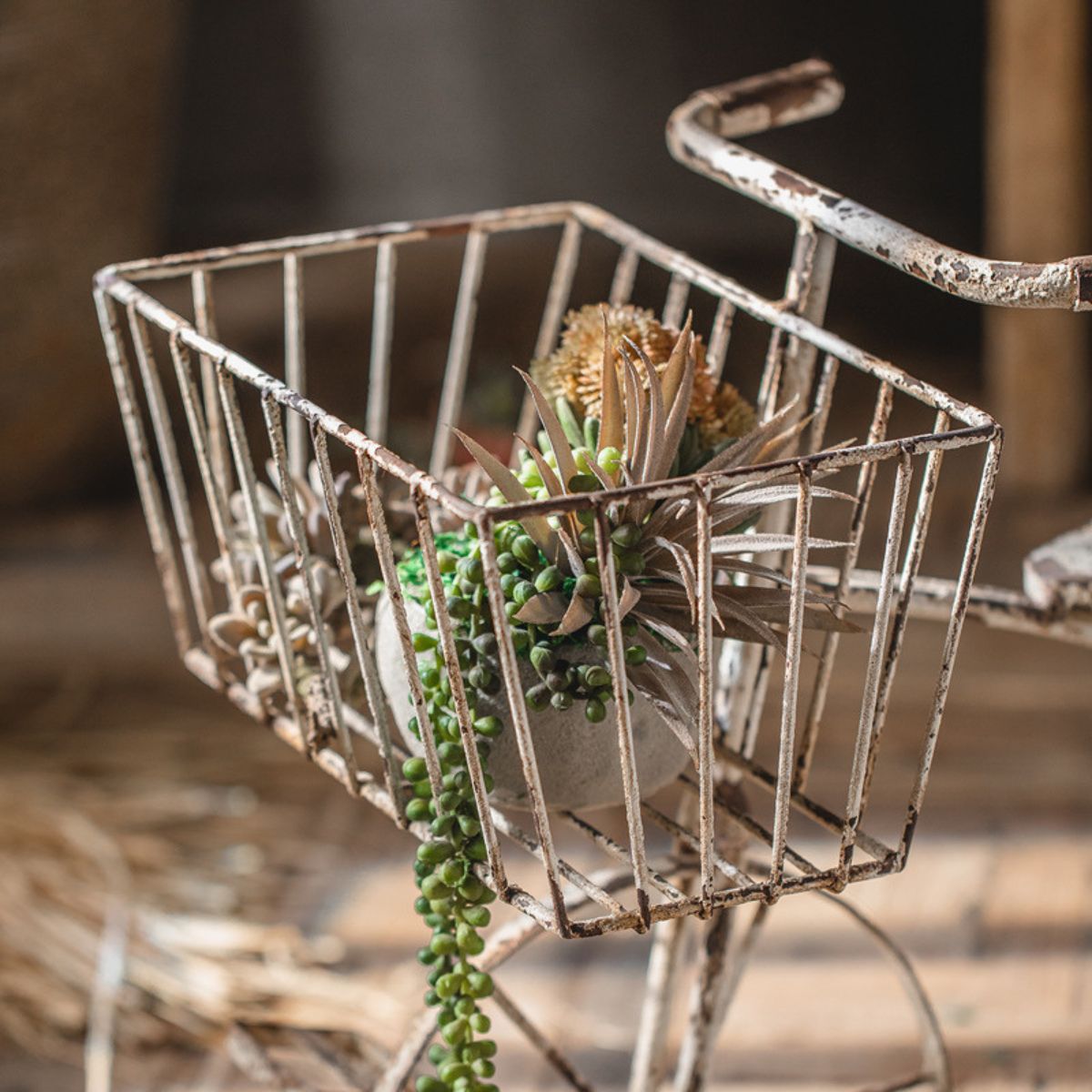 Tricycle Plant Stand Close-Up Basket