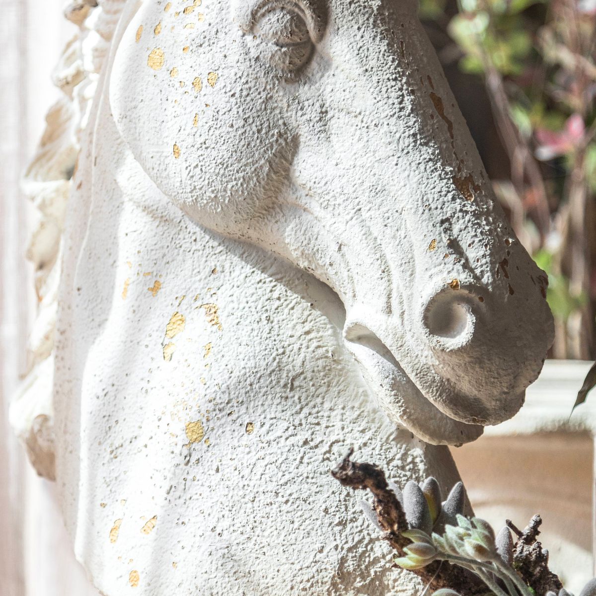 Aurelius Horse Head Statue  Close Up Lower Head