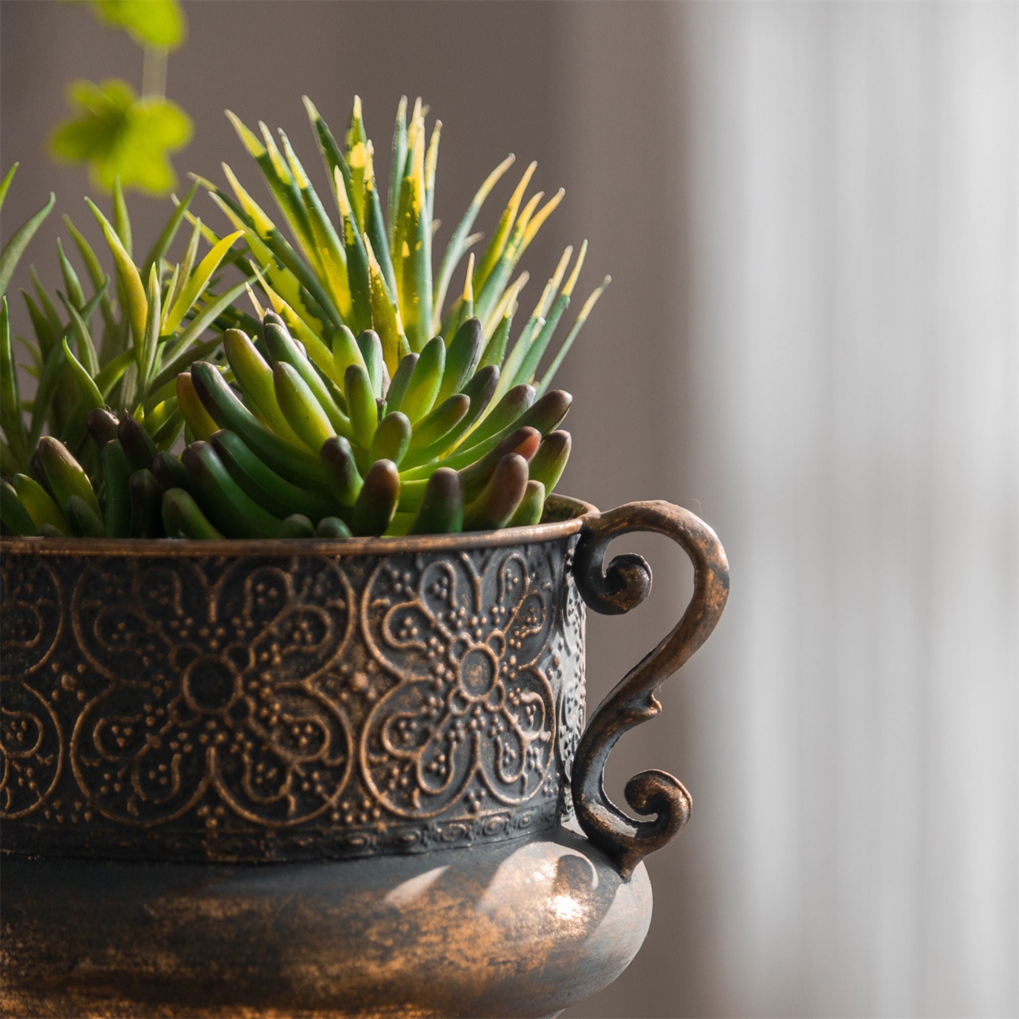Arles urn planter filled with succulents on a timber side table