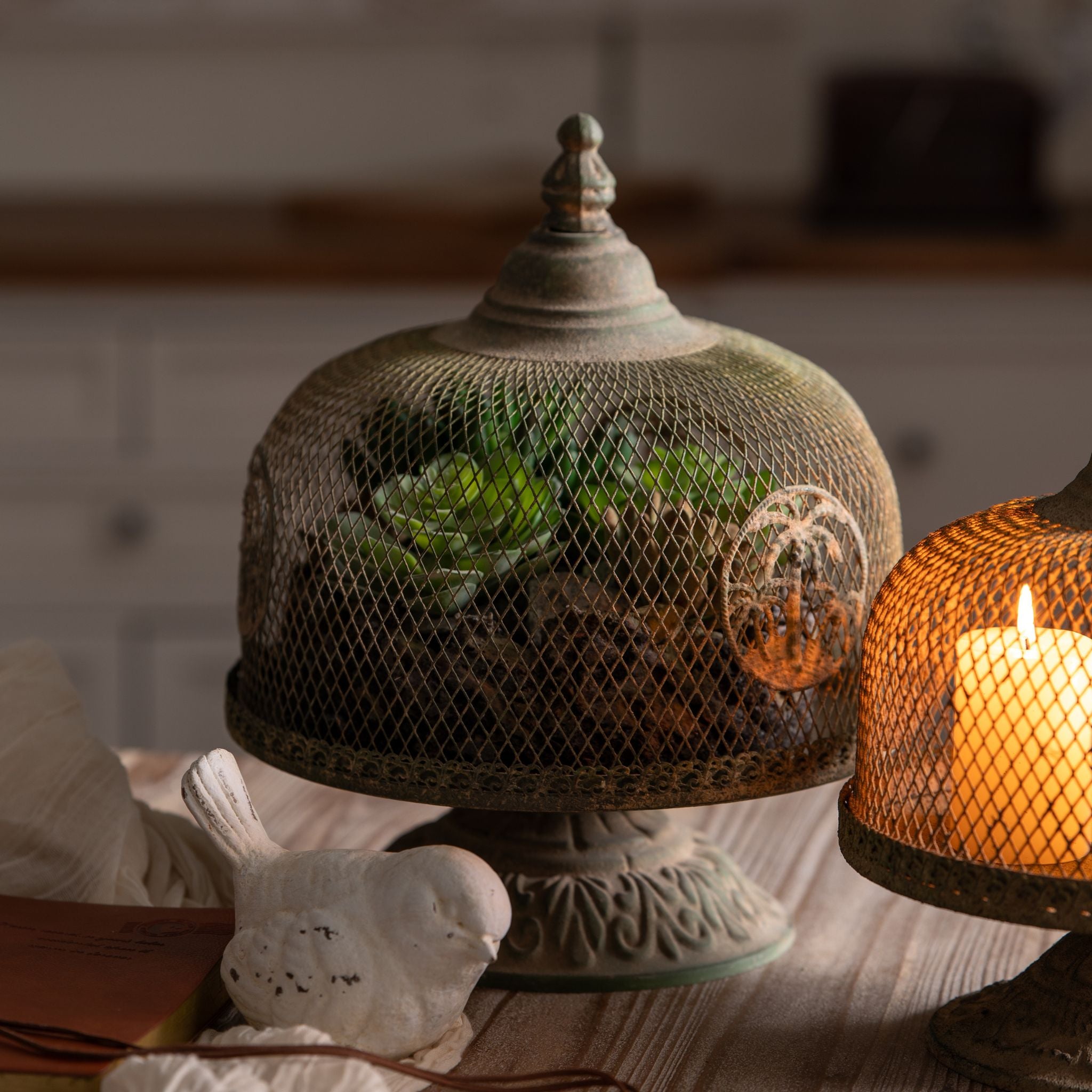 Primo mesh cloche on pedestal base with palm medallion covering succulents