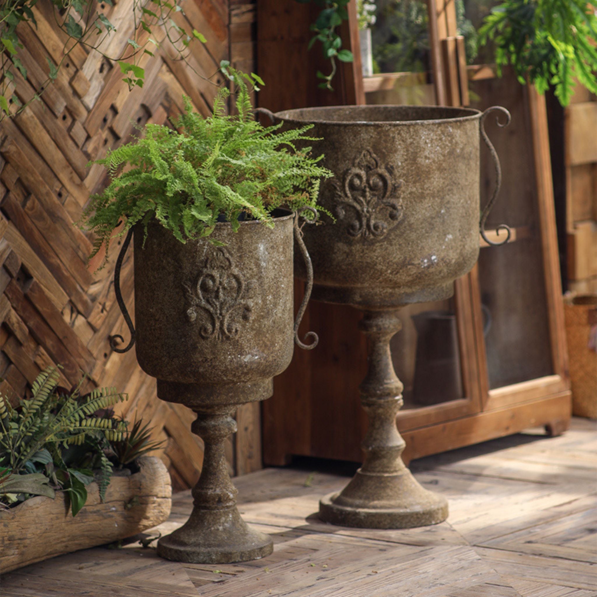 Gloria aged iron urn planter holding a fern beside her smaller sister urn