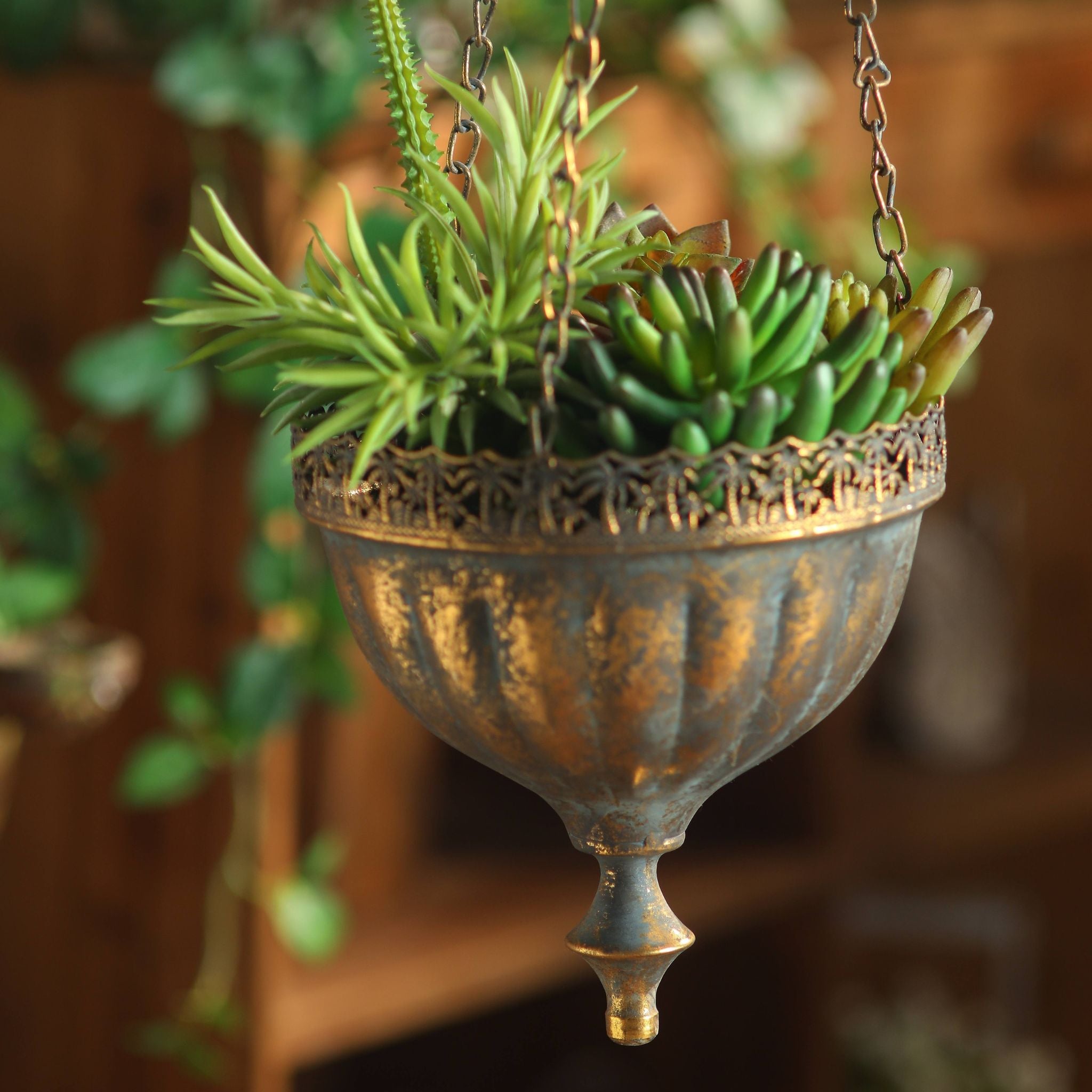 Naxos aged gold hanging planter suspended from a branch in a garden room