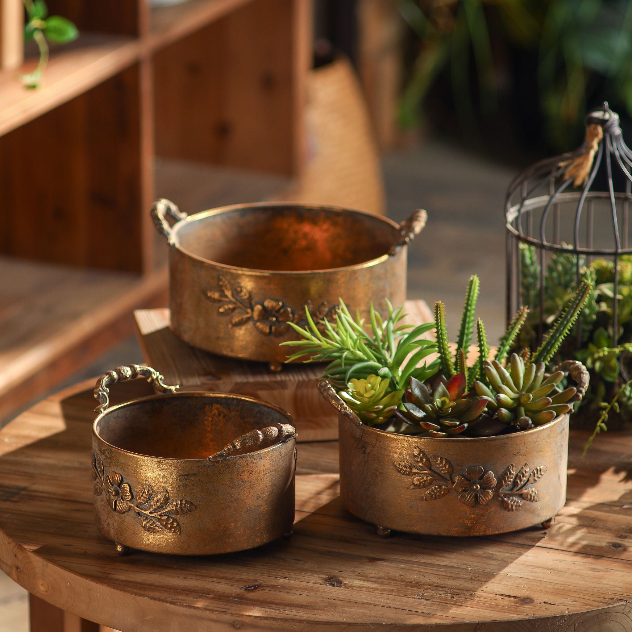 Ottavia antique gold pots holding succulents beside a wire birdcage