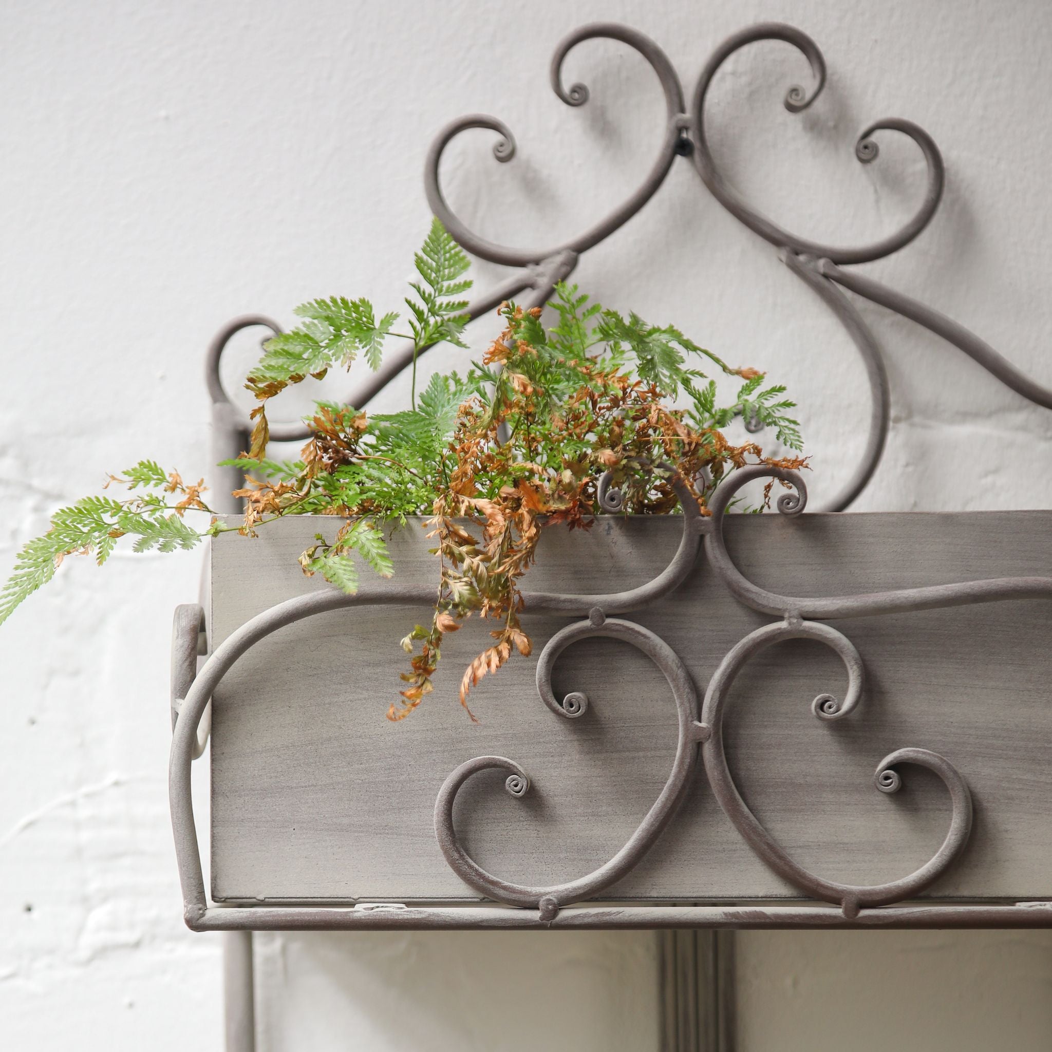 Avignon grey iron wall planter from the side showing both planted trough boxes