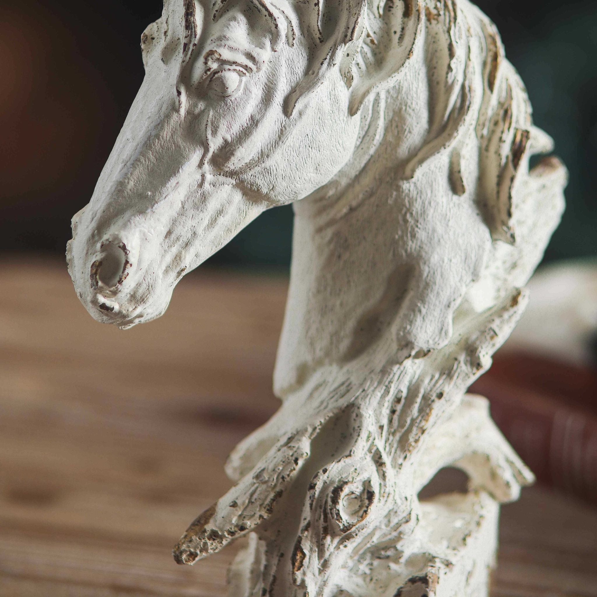 Close view of the finely modelled face and eye on the Cosimo horse bust
