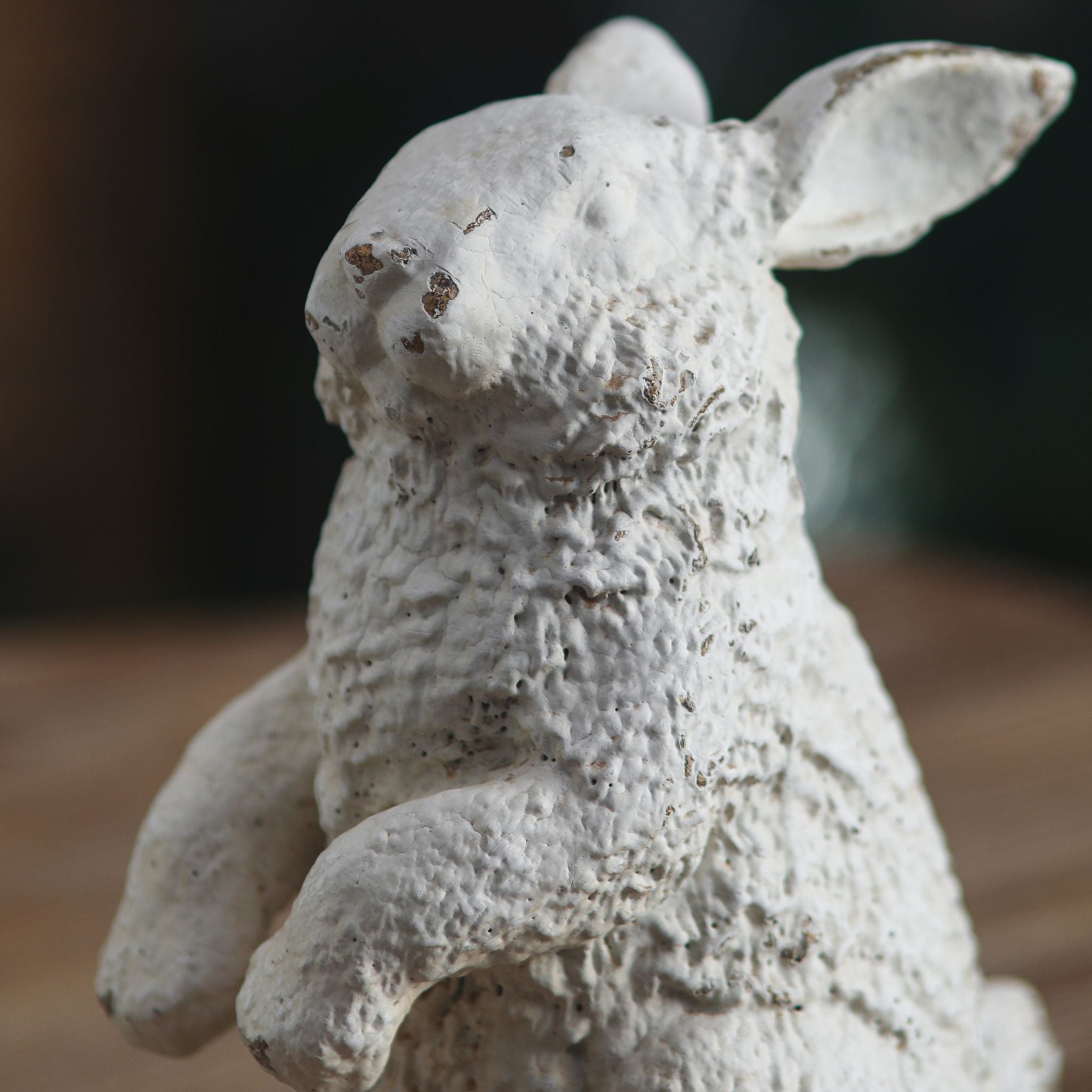 Close view of the pebbled coat and tall ears on the Dalia rabbit statue