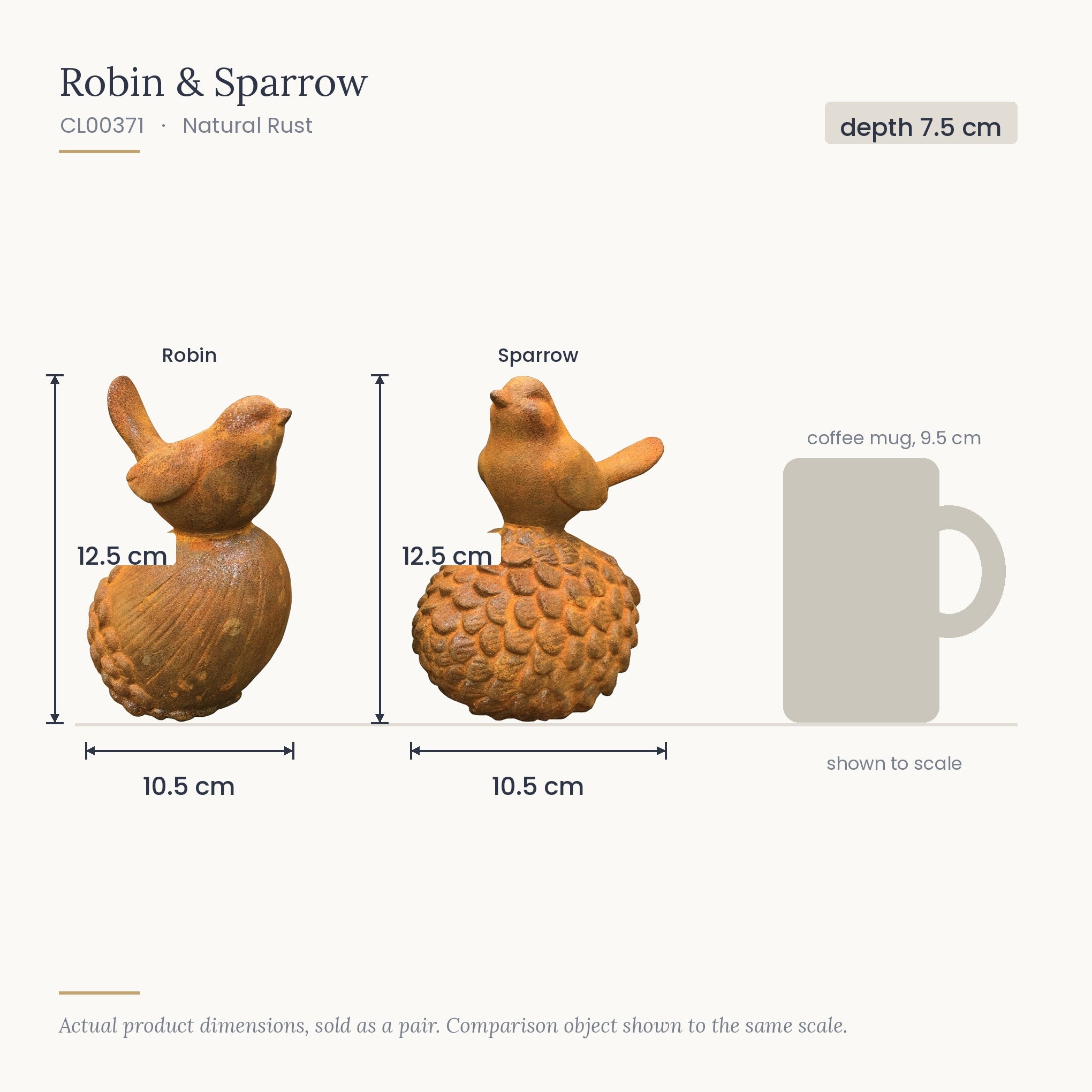 Size diagram for Robin and Sparrow, each 10.5 x 7.5 x 12.5 cm, shown to scale beside a 9.5 cm coffee mug