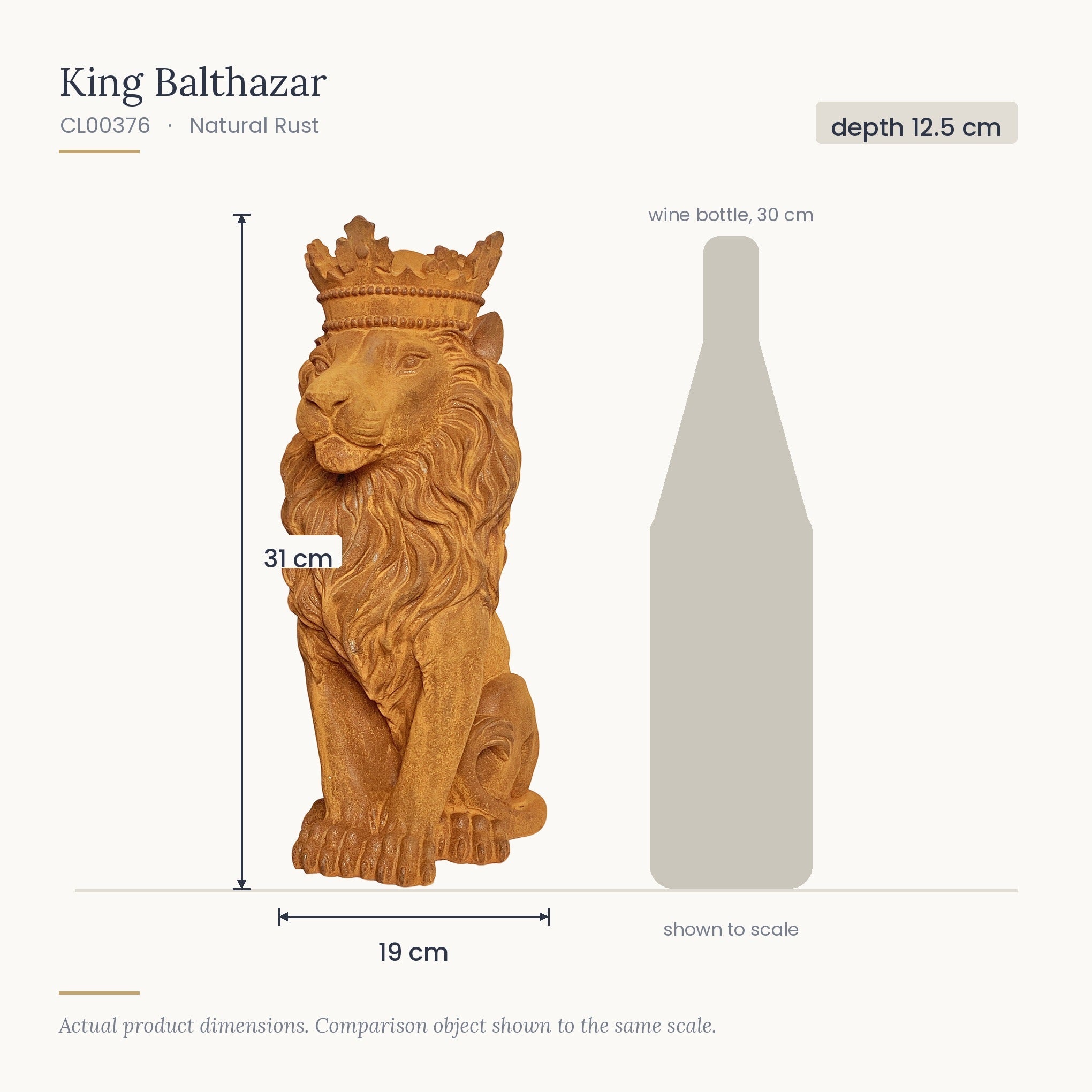 Size diagram for King Balthazar, 19 x 12.5 x 31 cm, shown to scale beside a 30 cm wine bottle