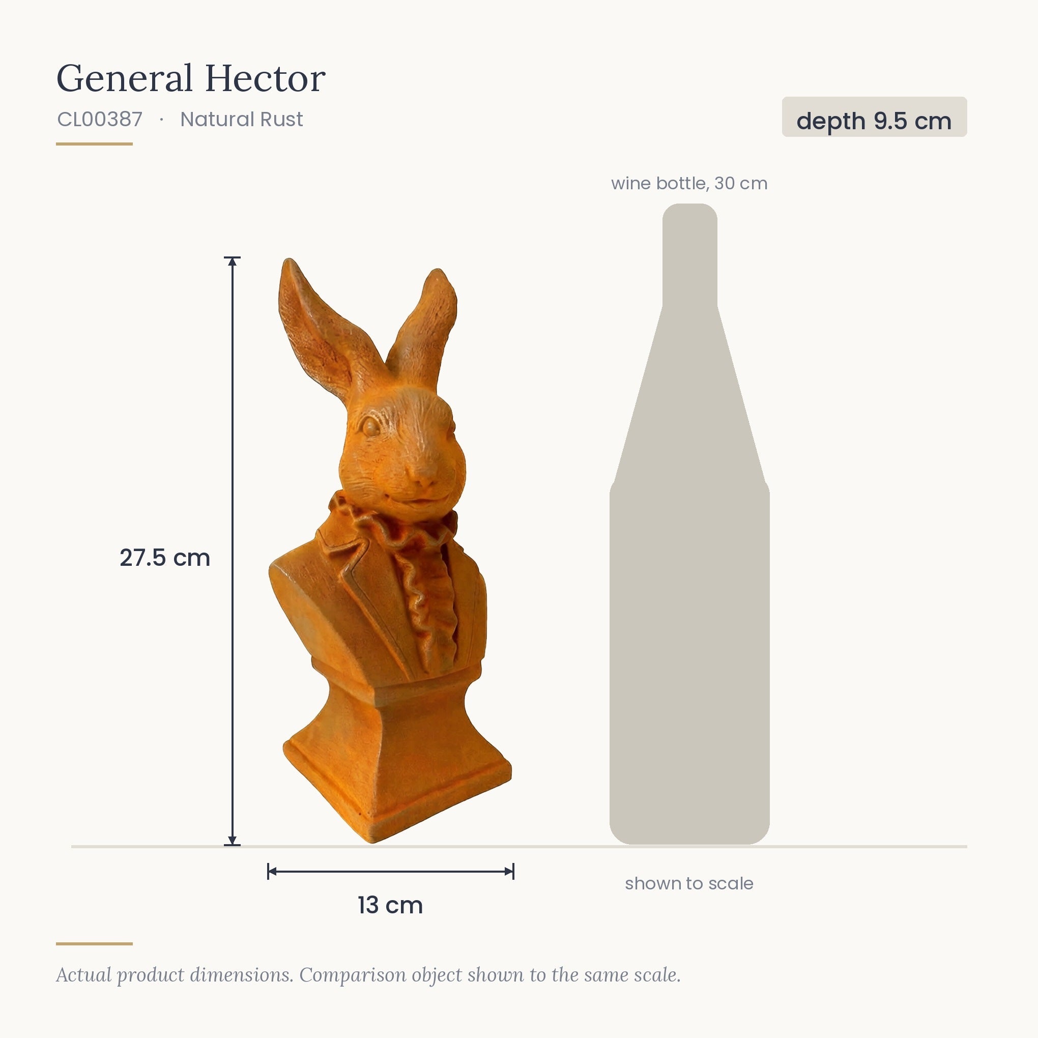 Size diagram for General Hector, 13 x 9.5 x 27.5 cm, shown to scale beside a 30 cm wine bottle