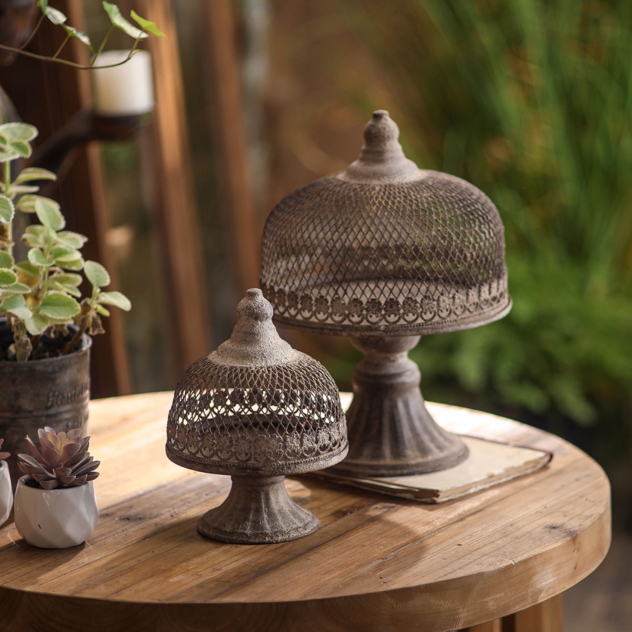 Leandro mesh cloche pair styled together in a garden room with plants