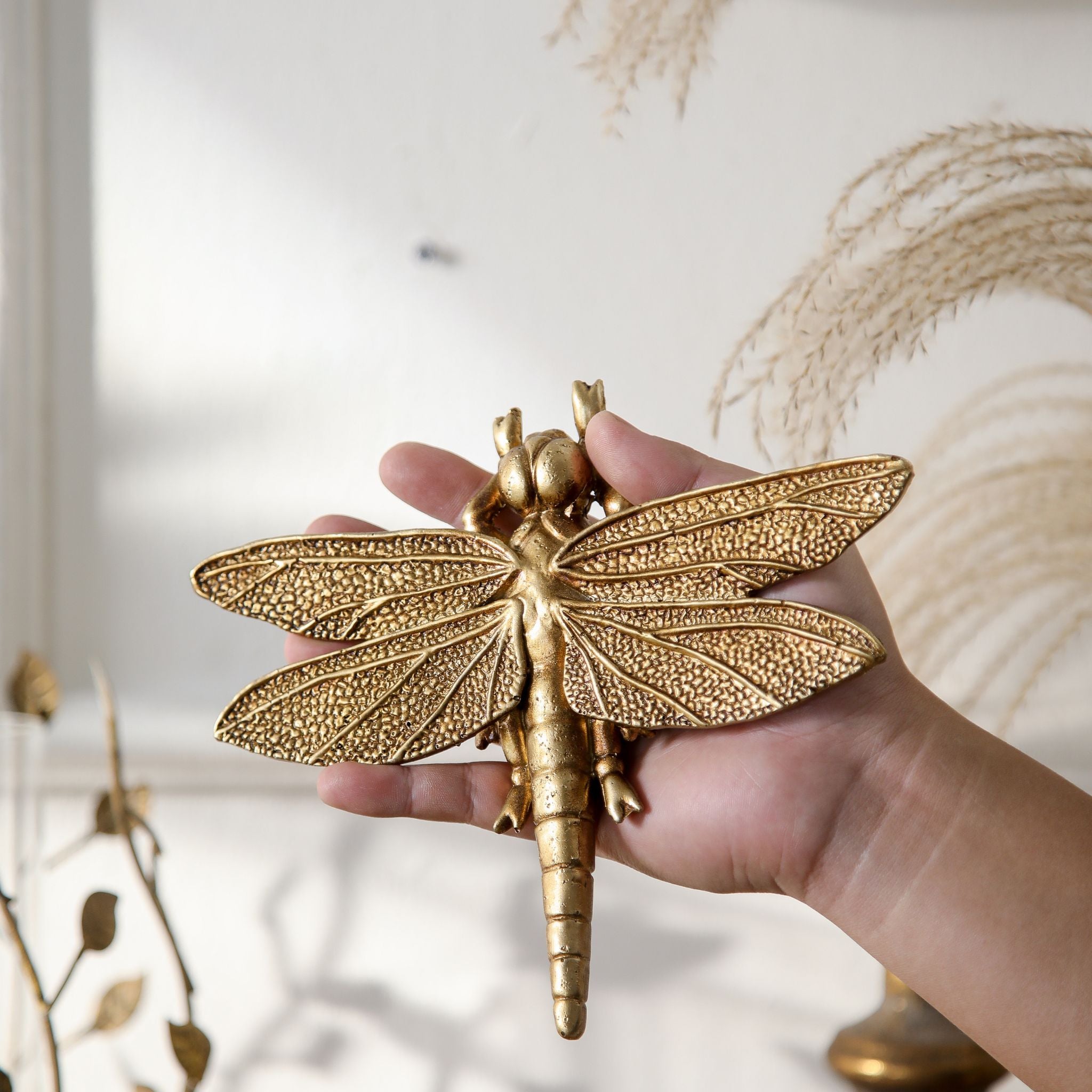 Lidia dragonfly held in hand showing the 21.5cm wingspan and wing detail