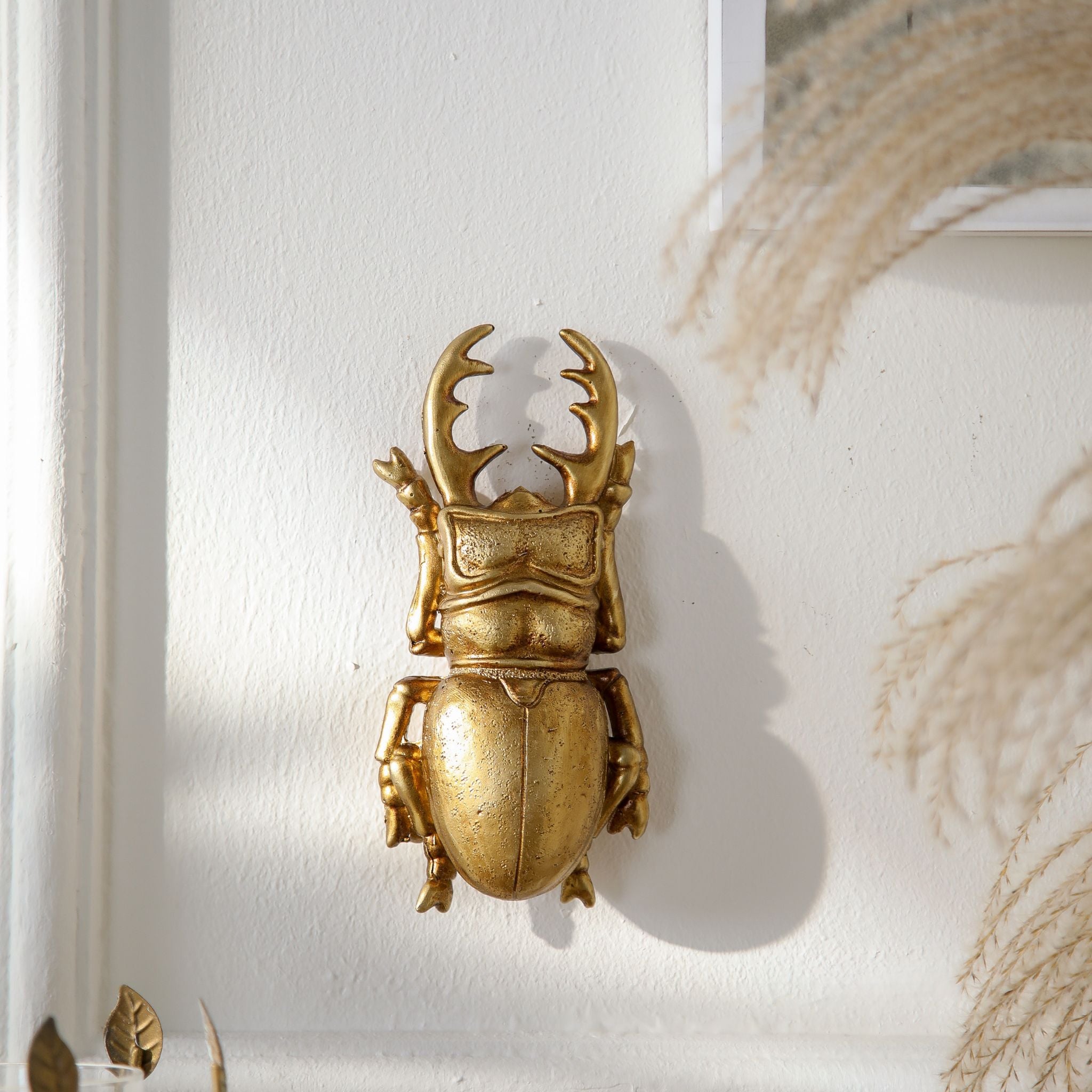 Lino stag beetle wall decor in antique gold resin mounted on a white wall in sunlight. Hero.
