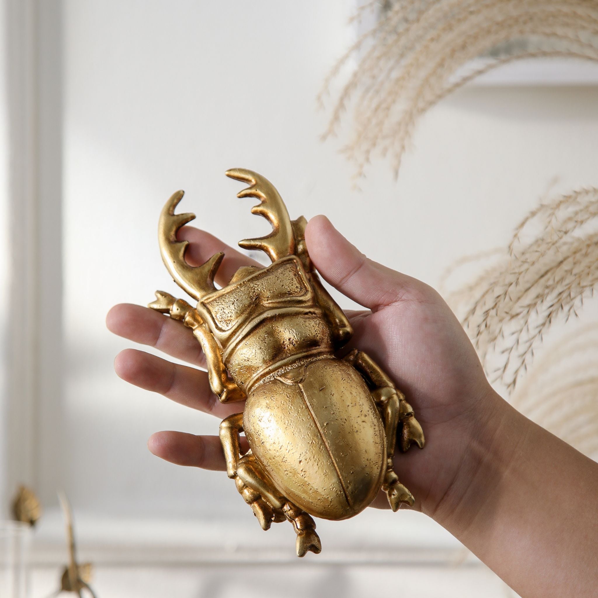 Lino gold stag beetle held in hand showing the 20cm length and antlered mandibles
