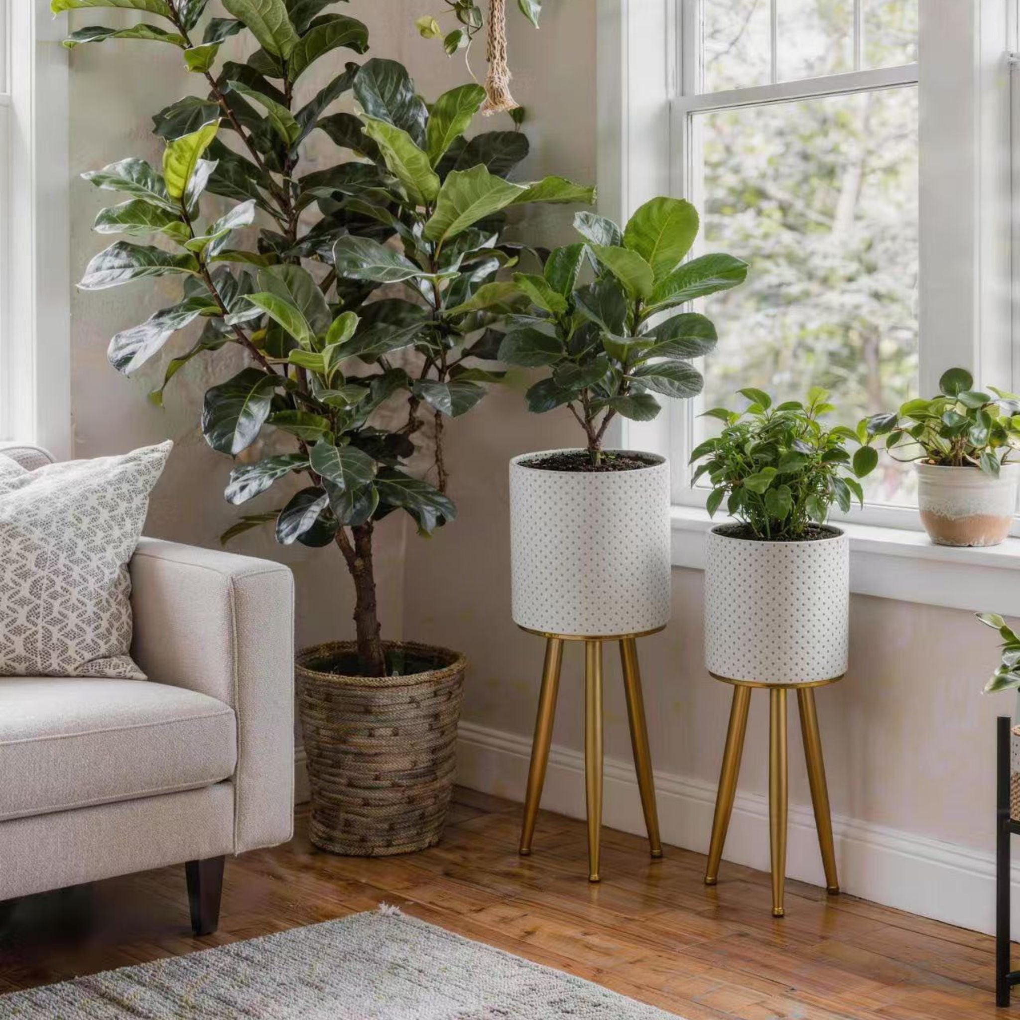 Fiora planter set of 2 in white pin-dot with gold tripod legs beside a sofa and window. Hero.