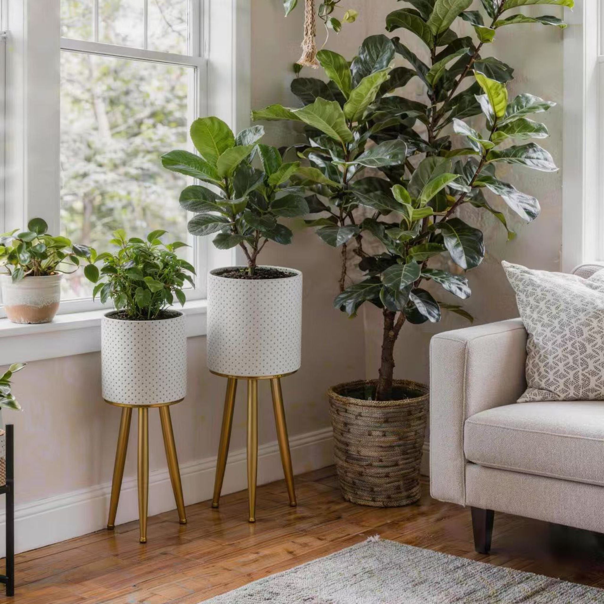 Fiora planter pair styled in a bright living room corner with indoor plants