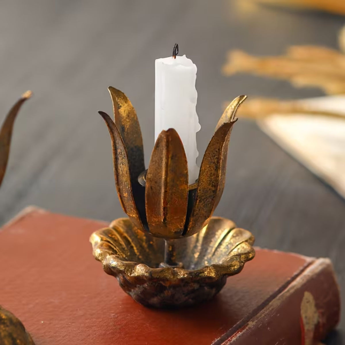 Massimo low flower candle holder in the scalloped dish with its taper candle