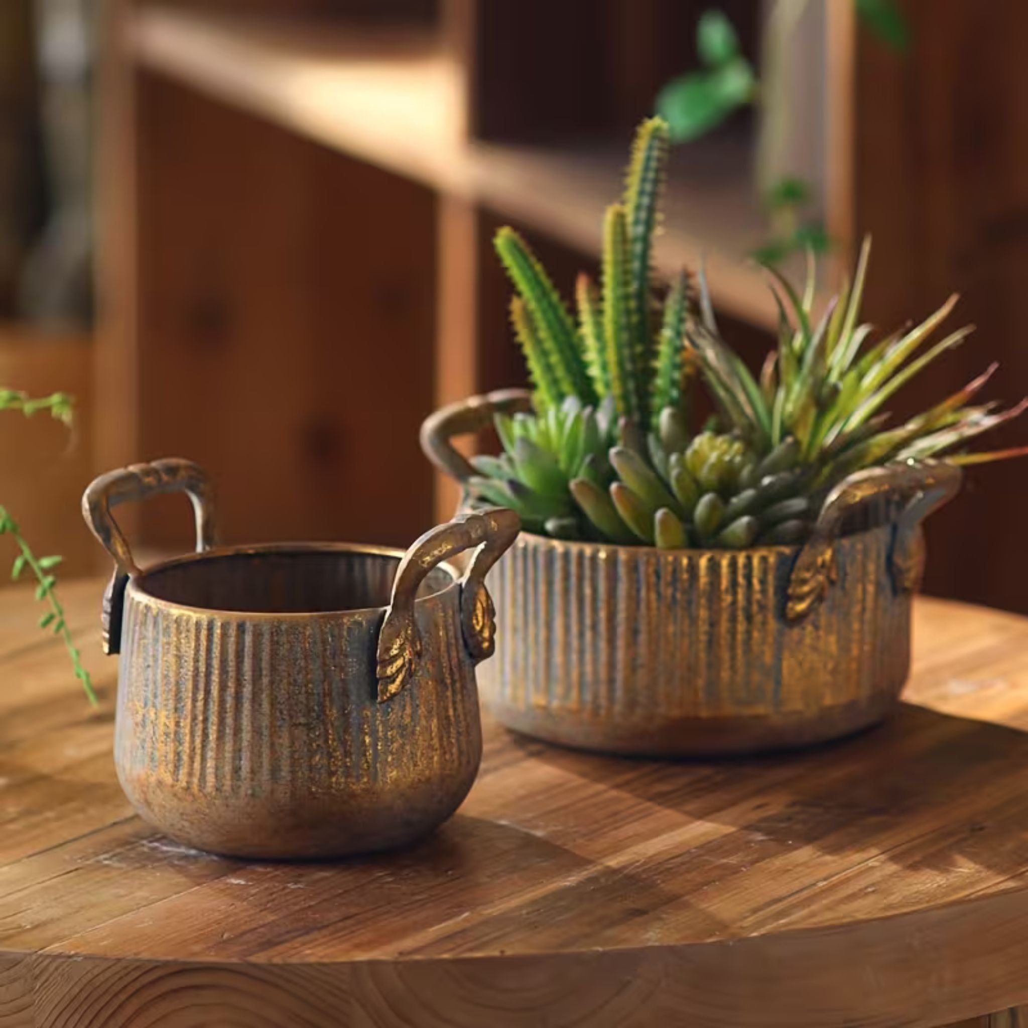 Milo ribbed gold pot pair with the large bowl planted with succulents
