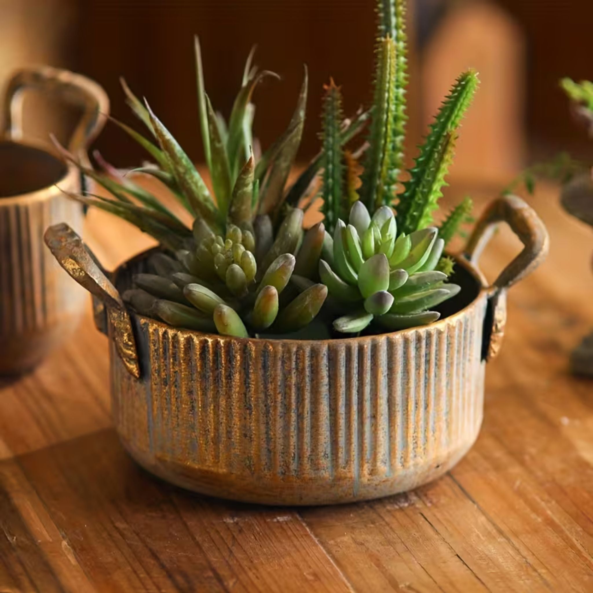 Milo large bowl planted with a mixed succulent arrangement