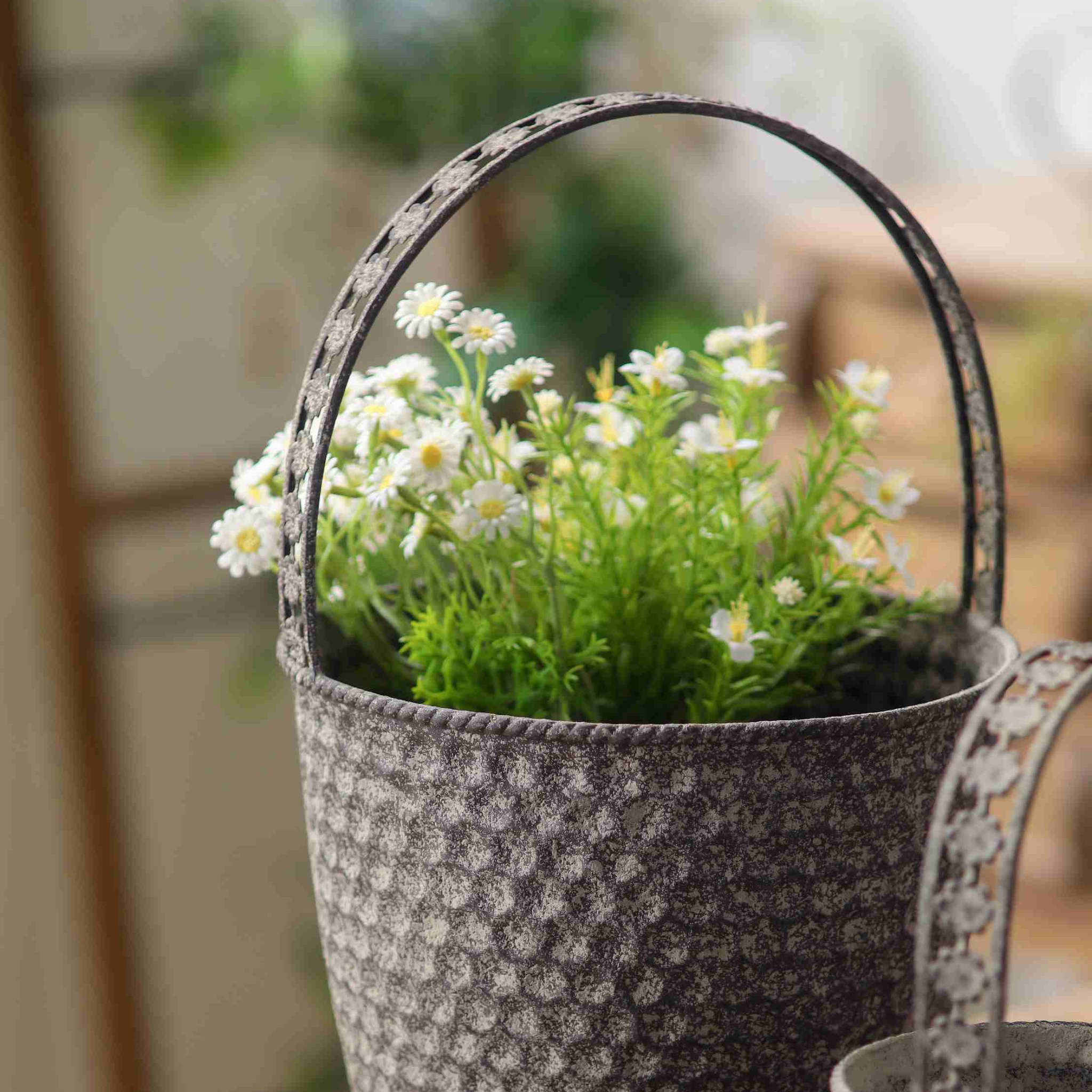 Close-up of the larger Bernadette basket planted with daisies, handle and rim